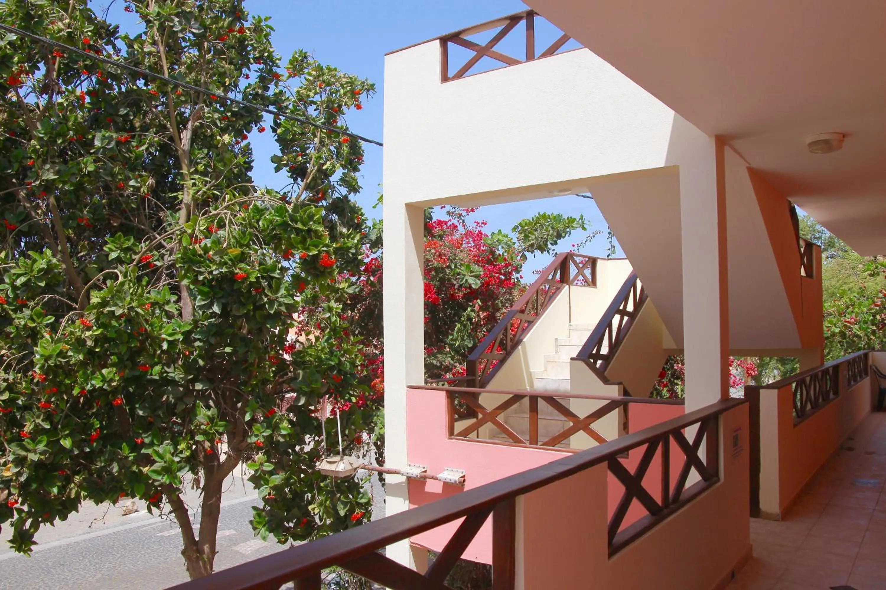 Balcony/Terrace in Nautilus Aparthotel