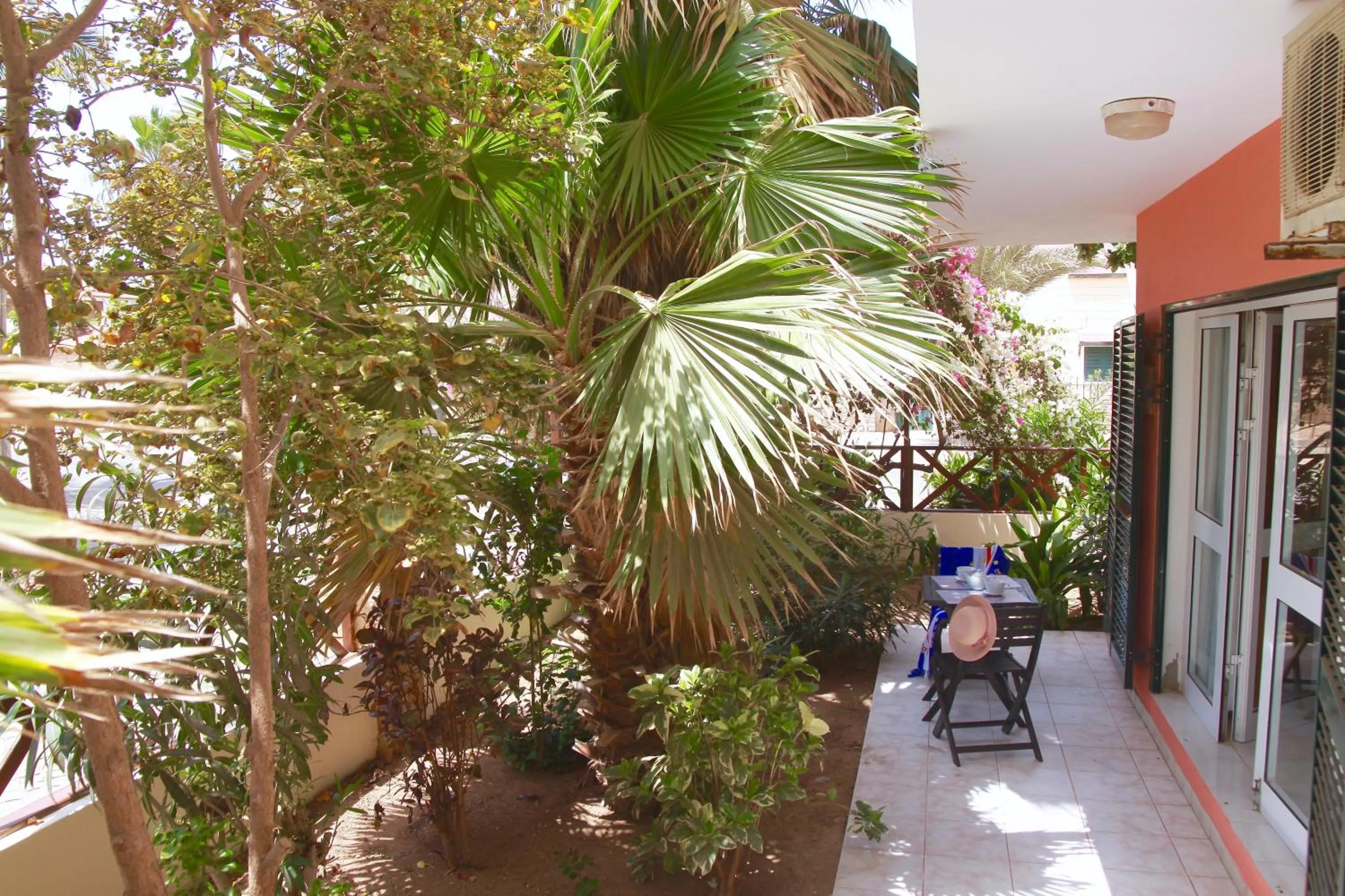 Garden in Nautilus Aparthotel