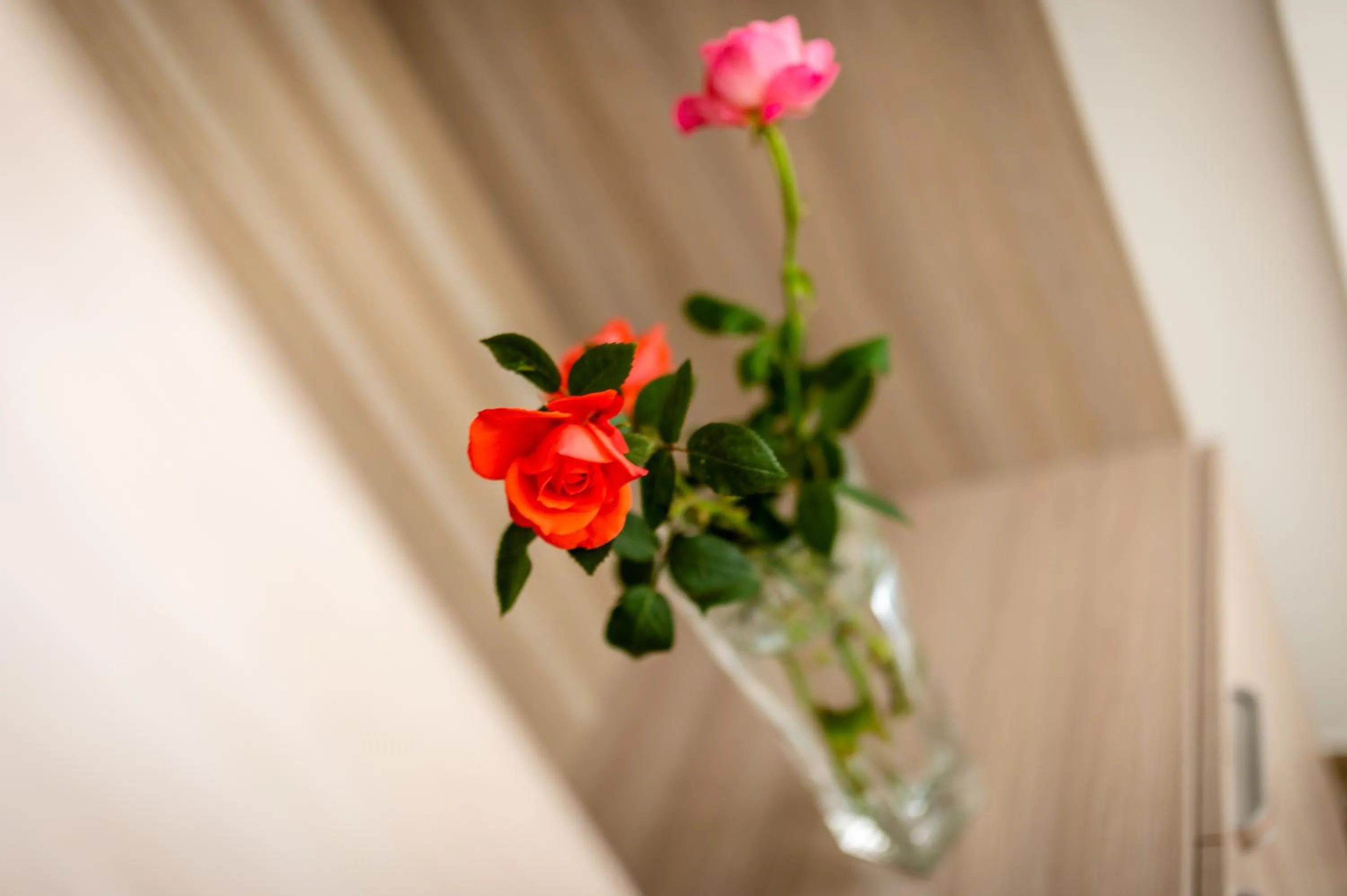 Le Calette Rooms - Puglia Mia Apartments