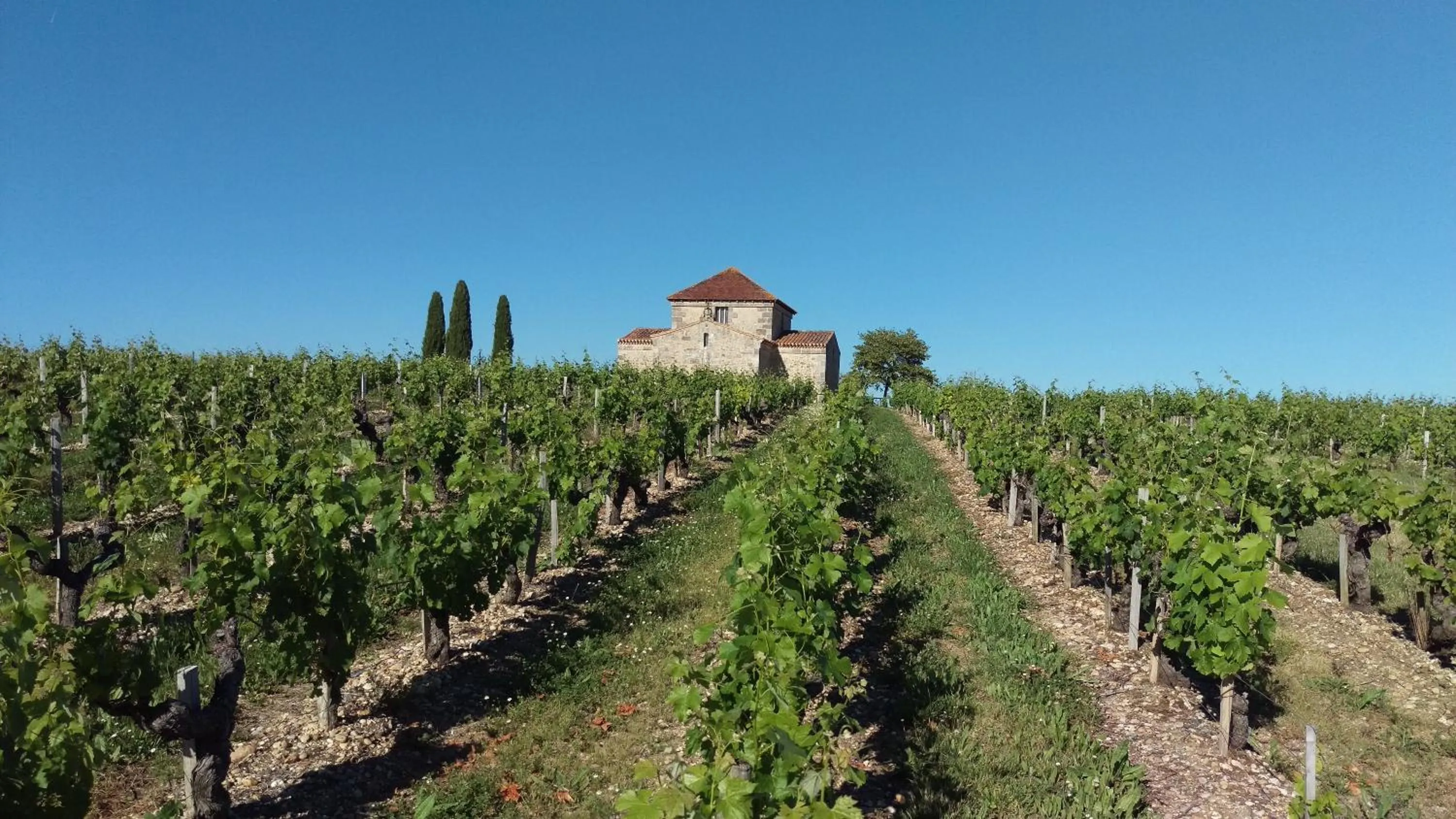 Neighbourhood in Au cœur des vignobles