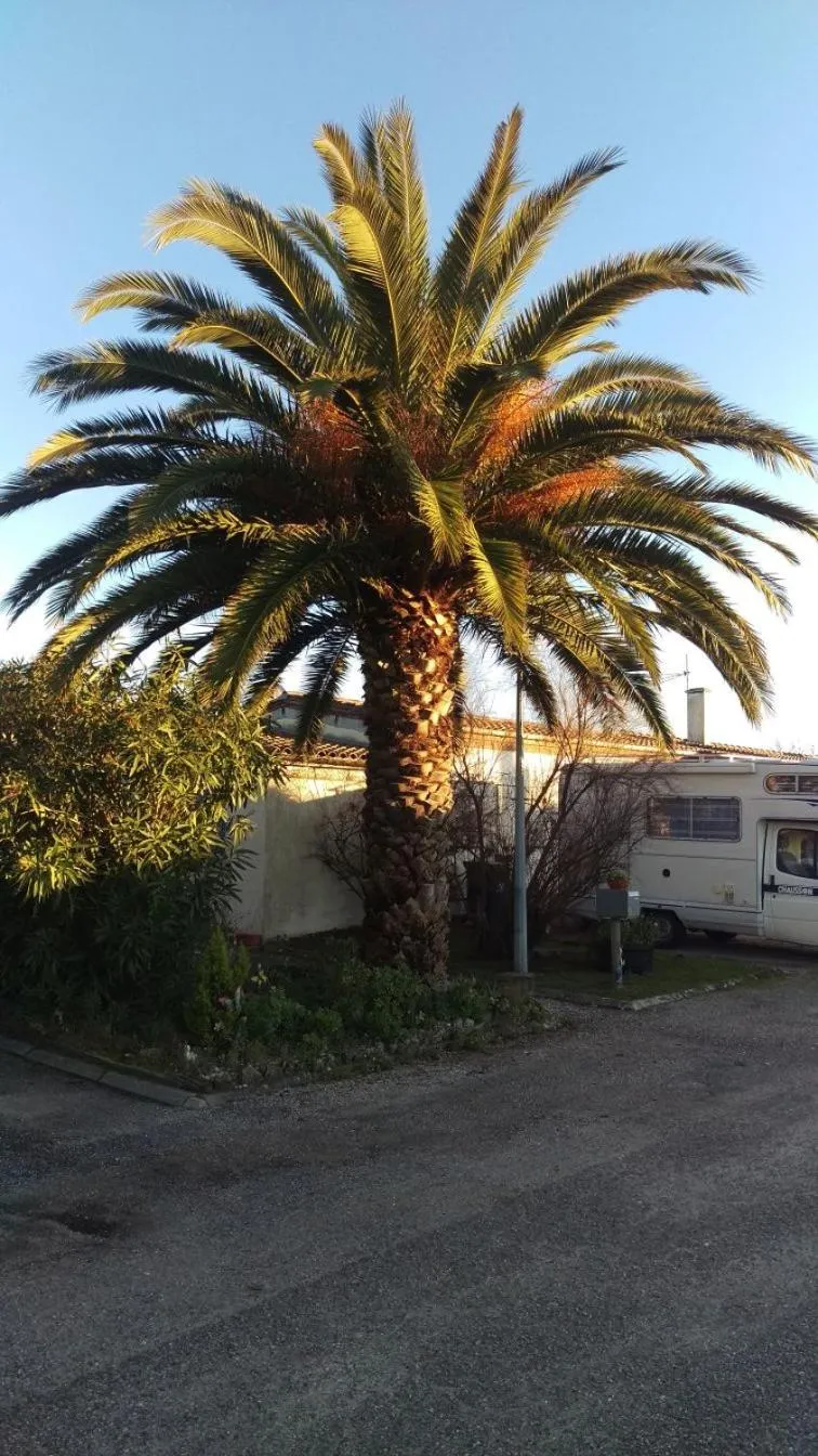 Au cœur des vignobles