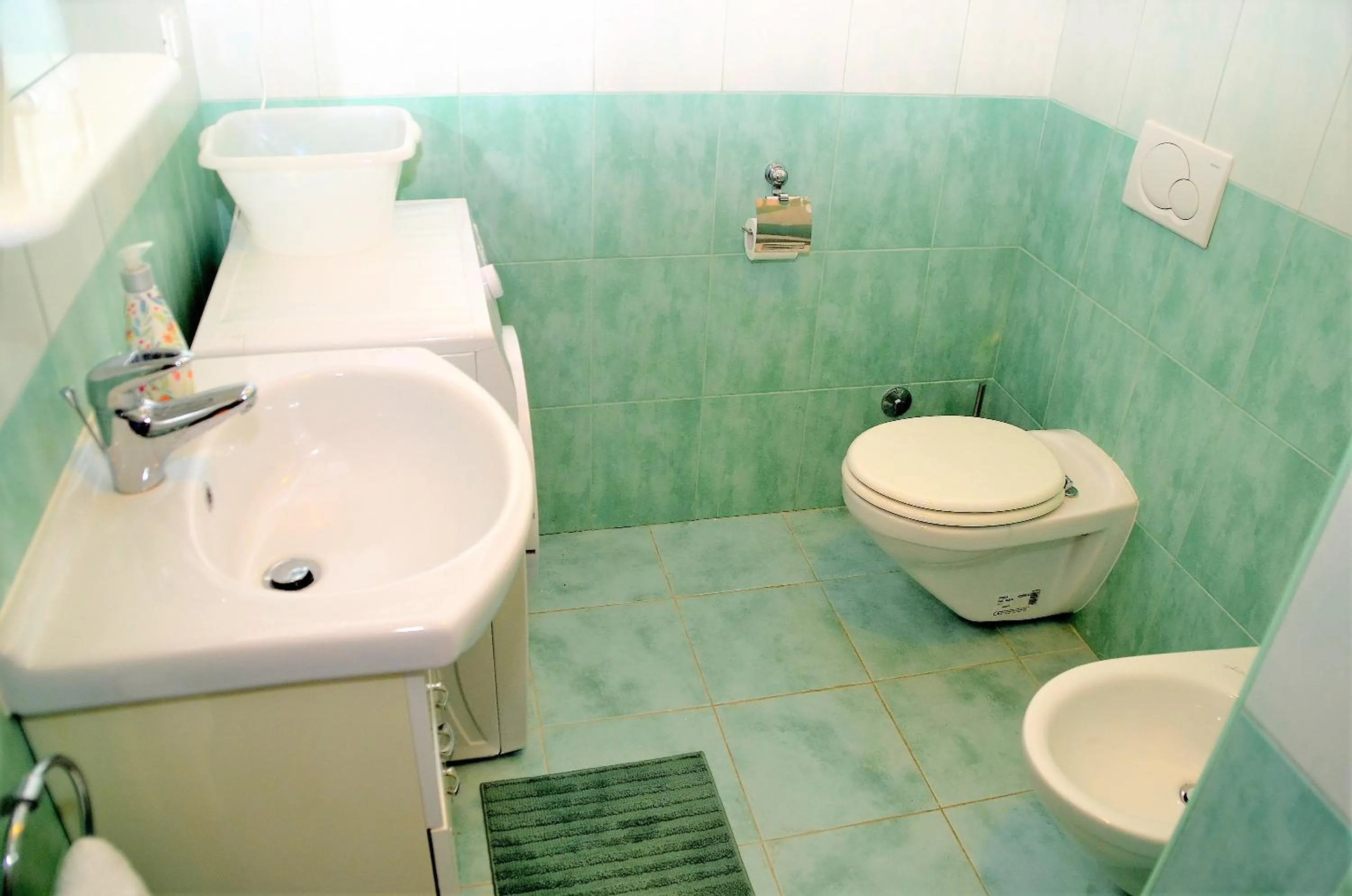 Apartment Renata