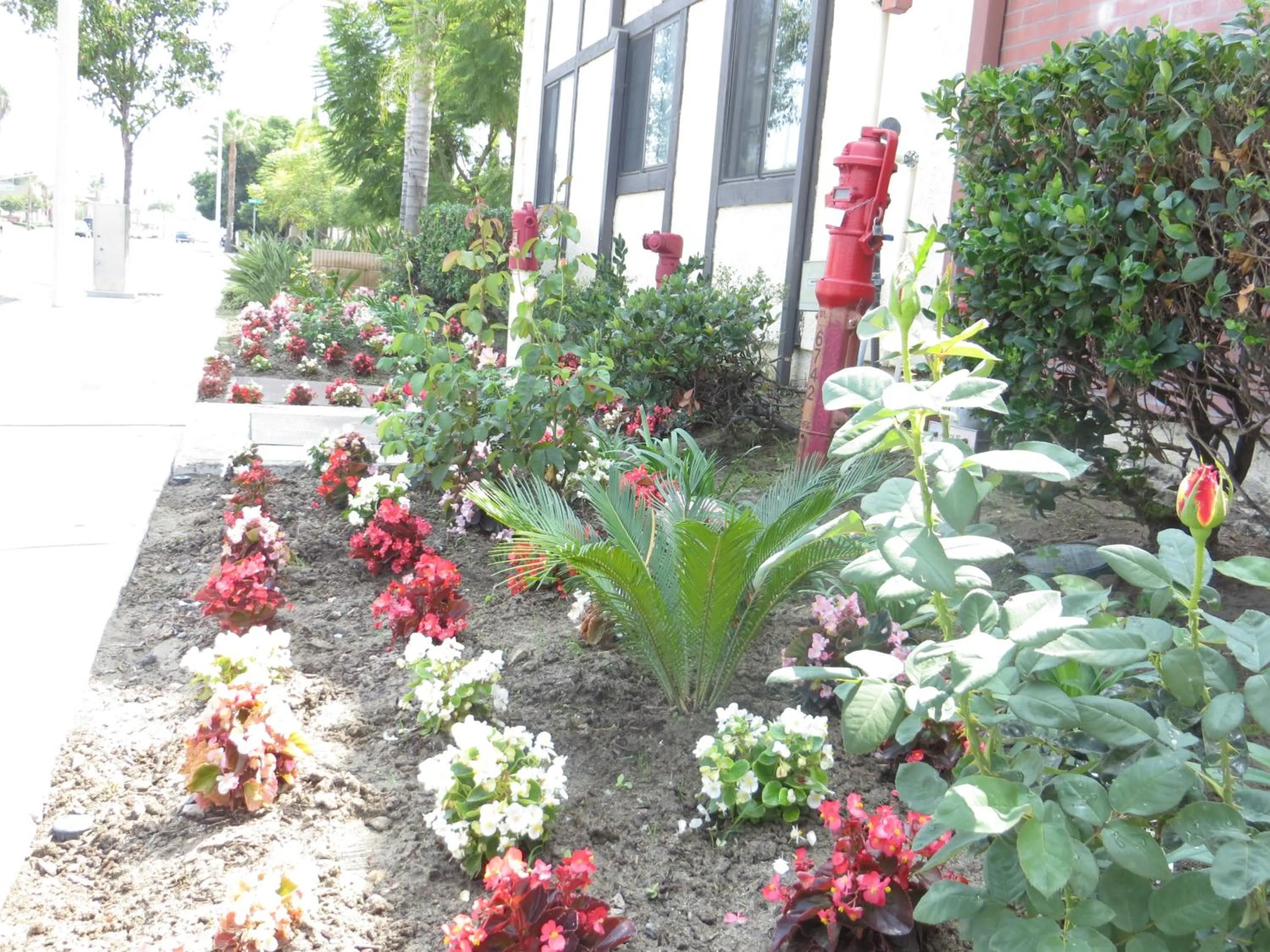 Decorative detail in Executive Suites Inn