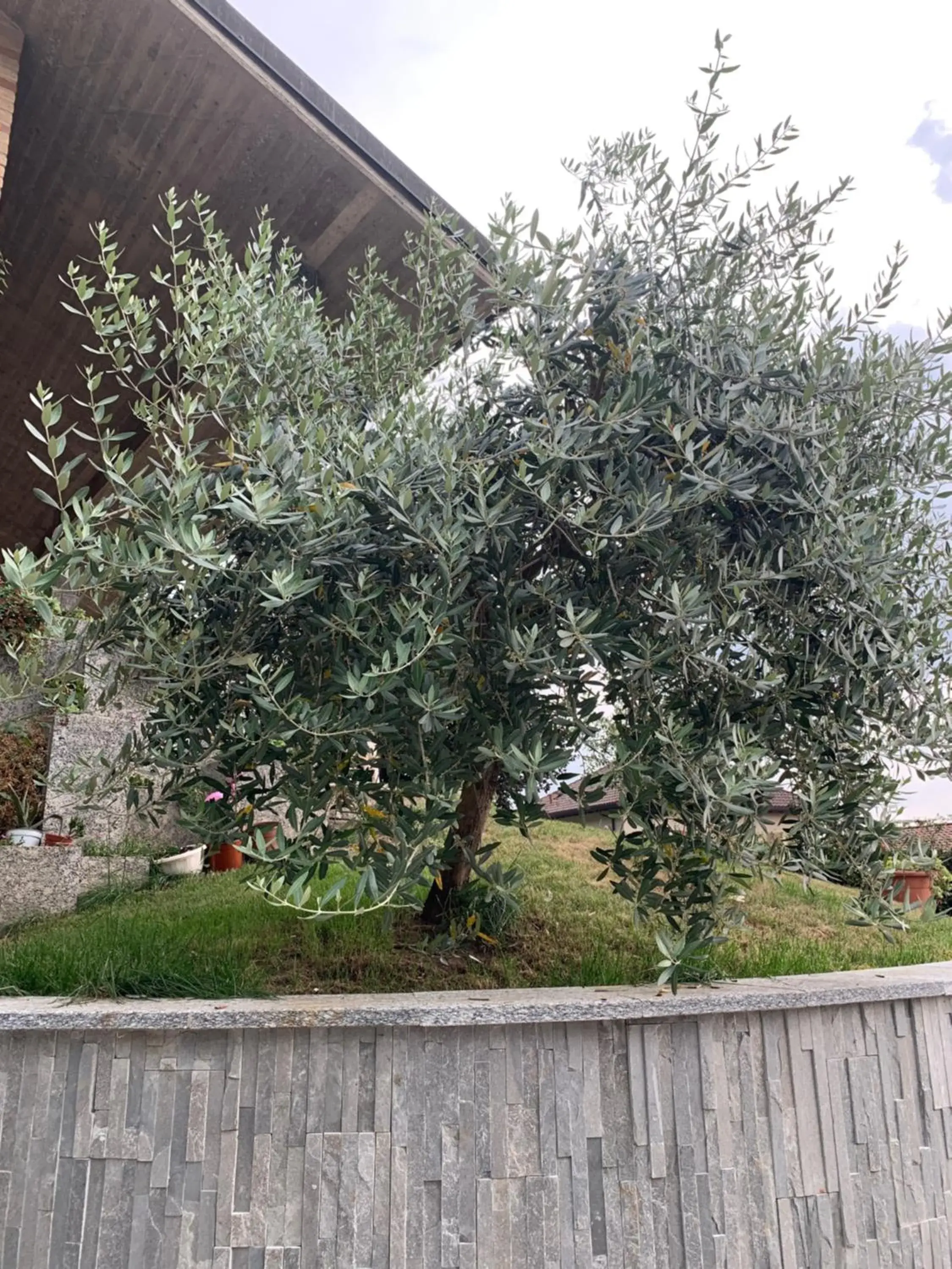 Property building in Villa Cuore Property building in Villa Cuore