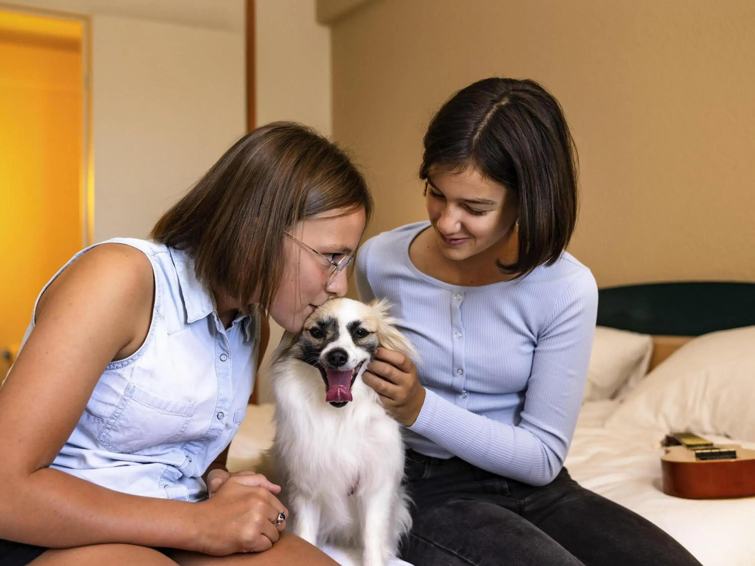 Standard Twin Room in Hotel ibis Autun Standard Twin Room in Hotel ibis Autun