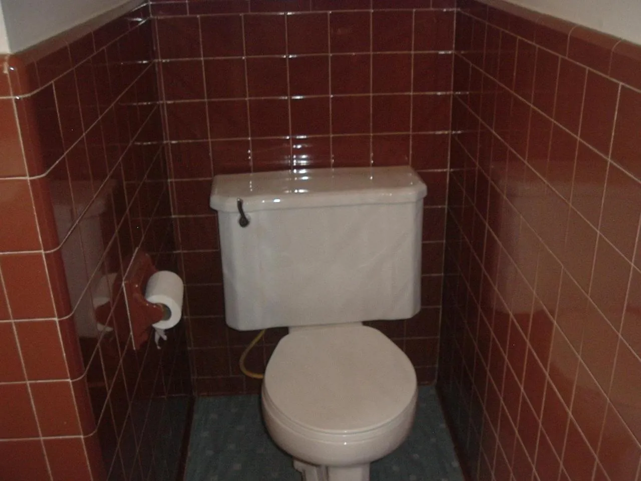 Toilet in Fels Three Crown Motel