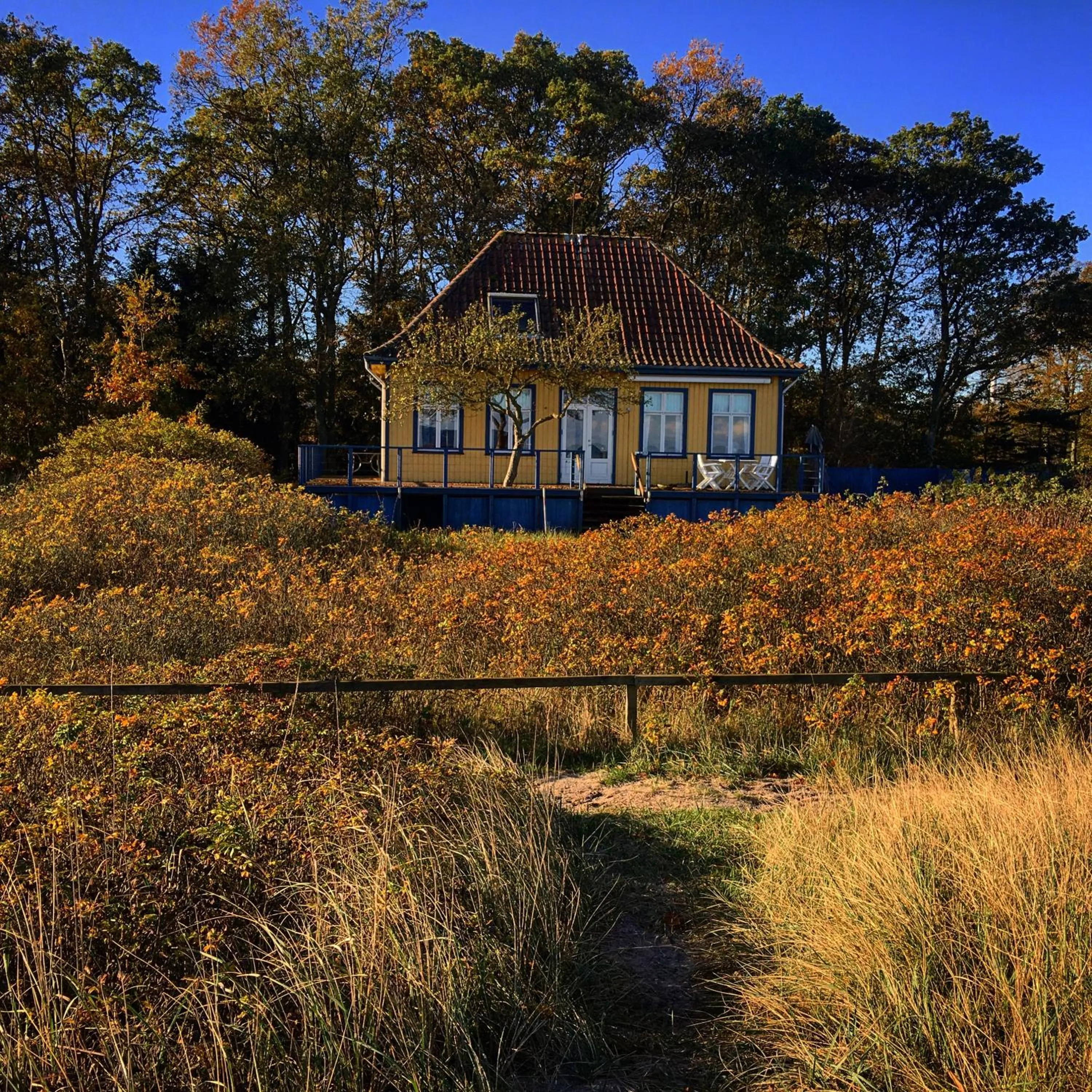Property building in Skærven Beachfront Apartments and Cottage
