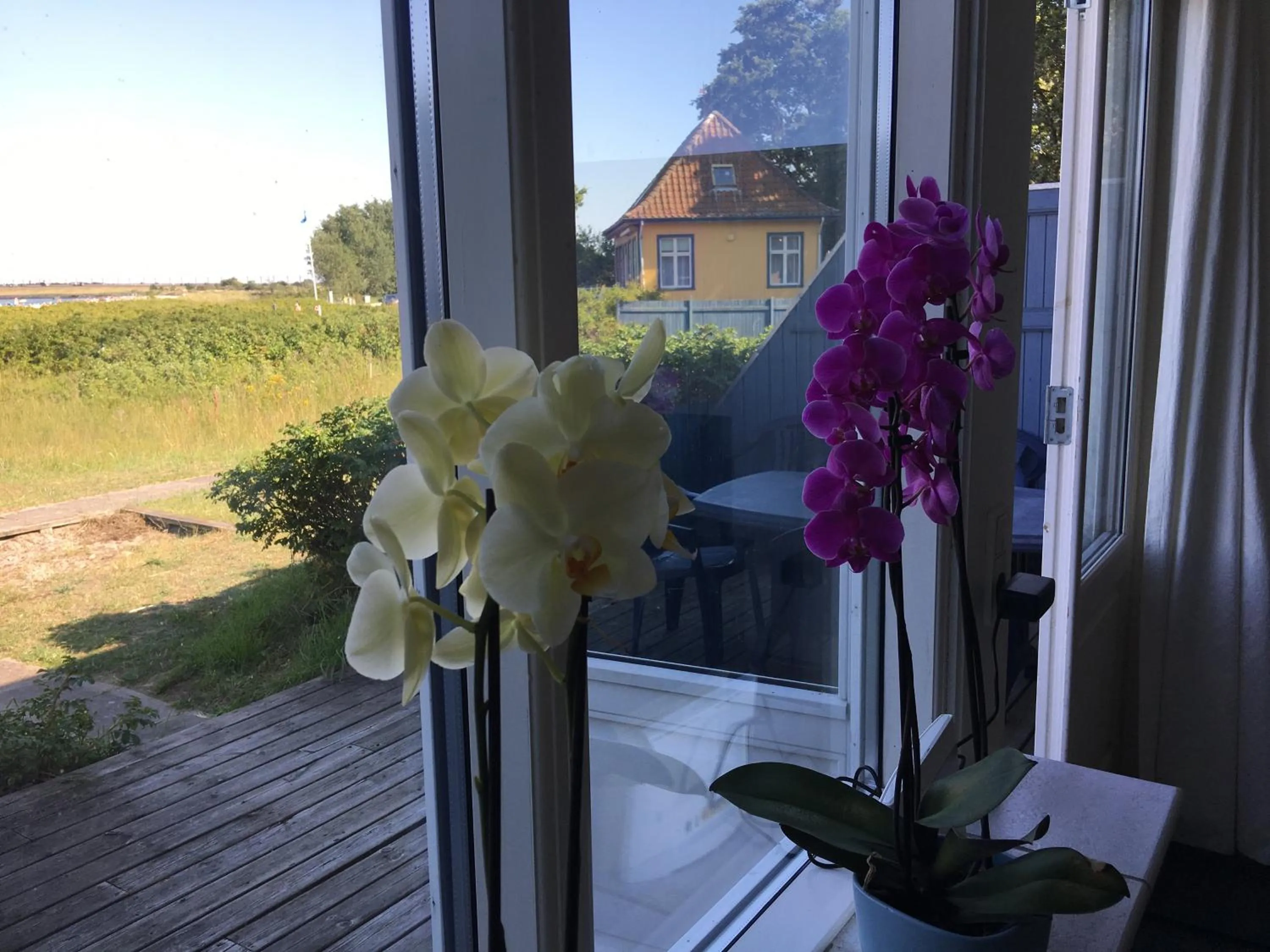 Sea view in Skærven Beachfront Apartments and Cottage