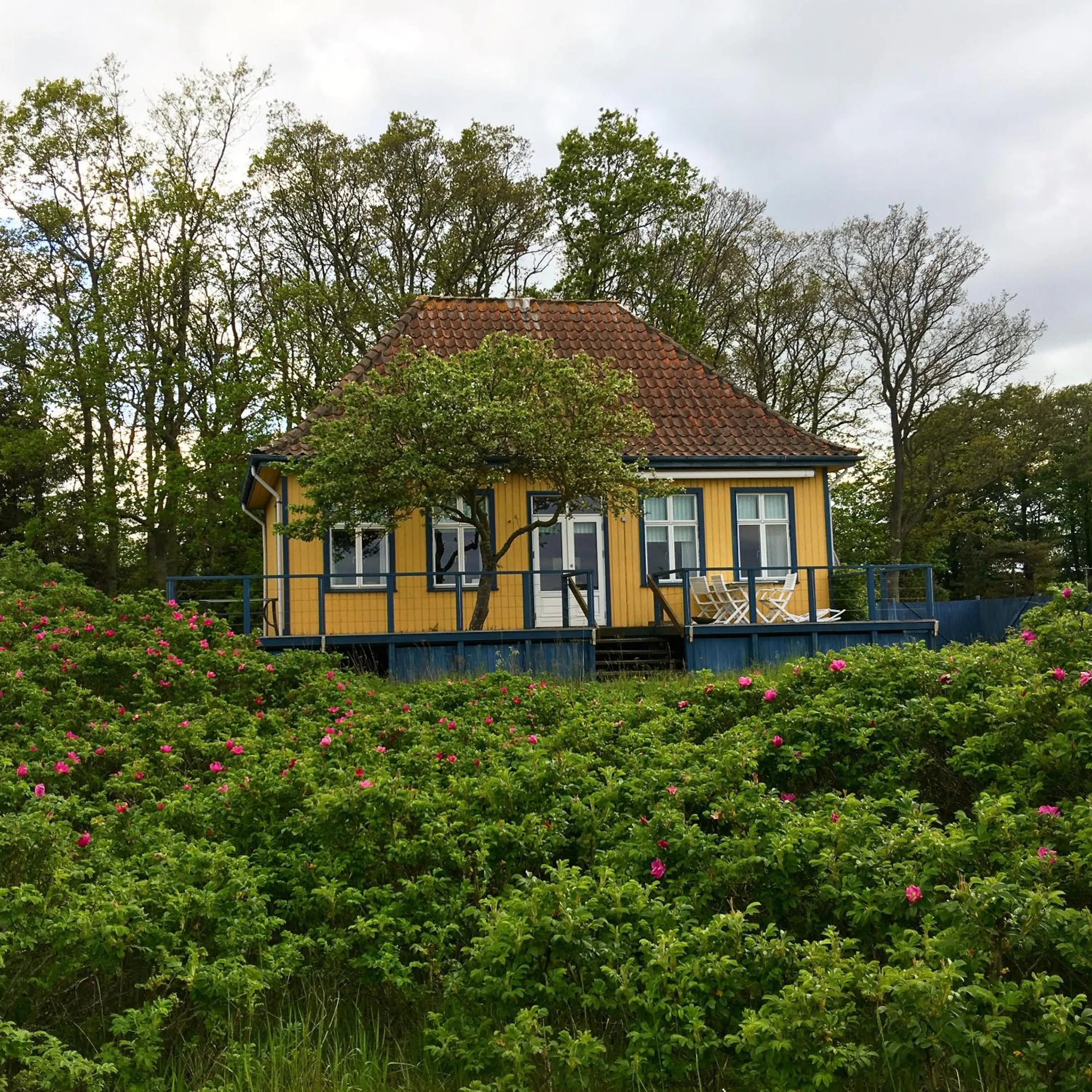 Property building in Skærven Beachfront Apartments and Cottage