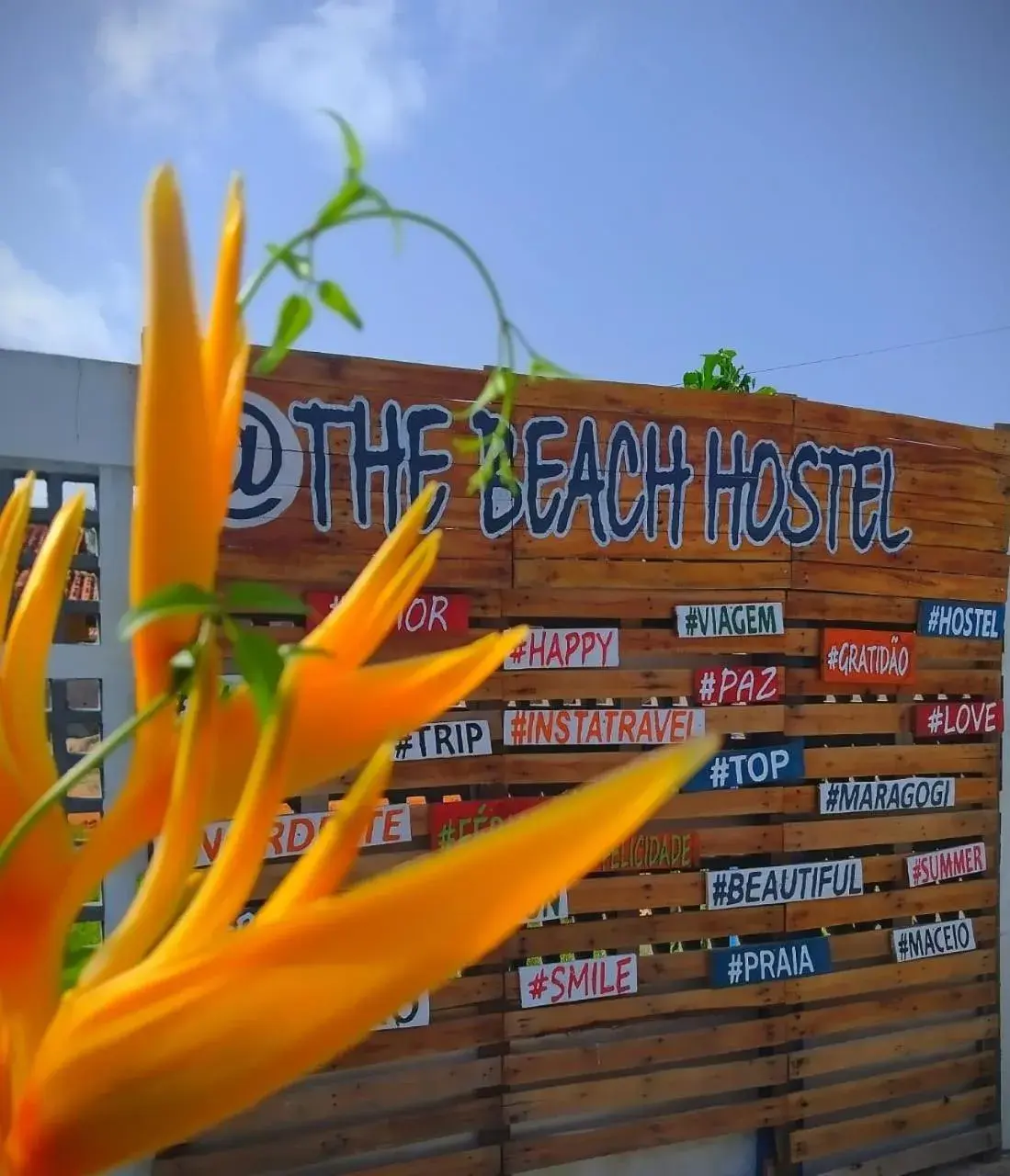 The Beach Hostel Milagres The Beach Hostel Milagres