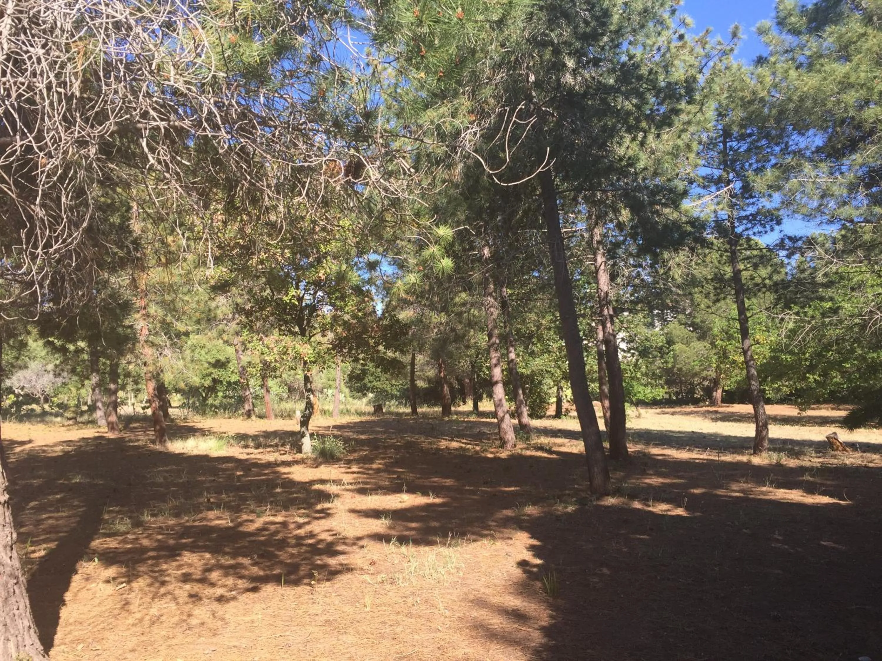 Property building in Residenza Gherly