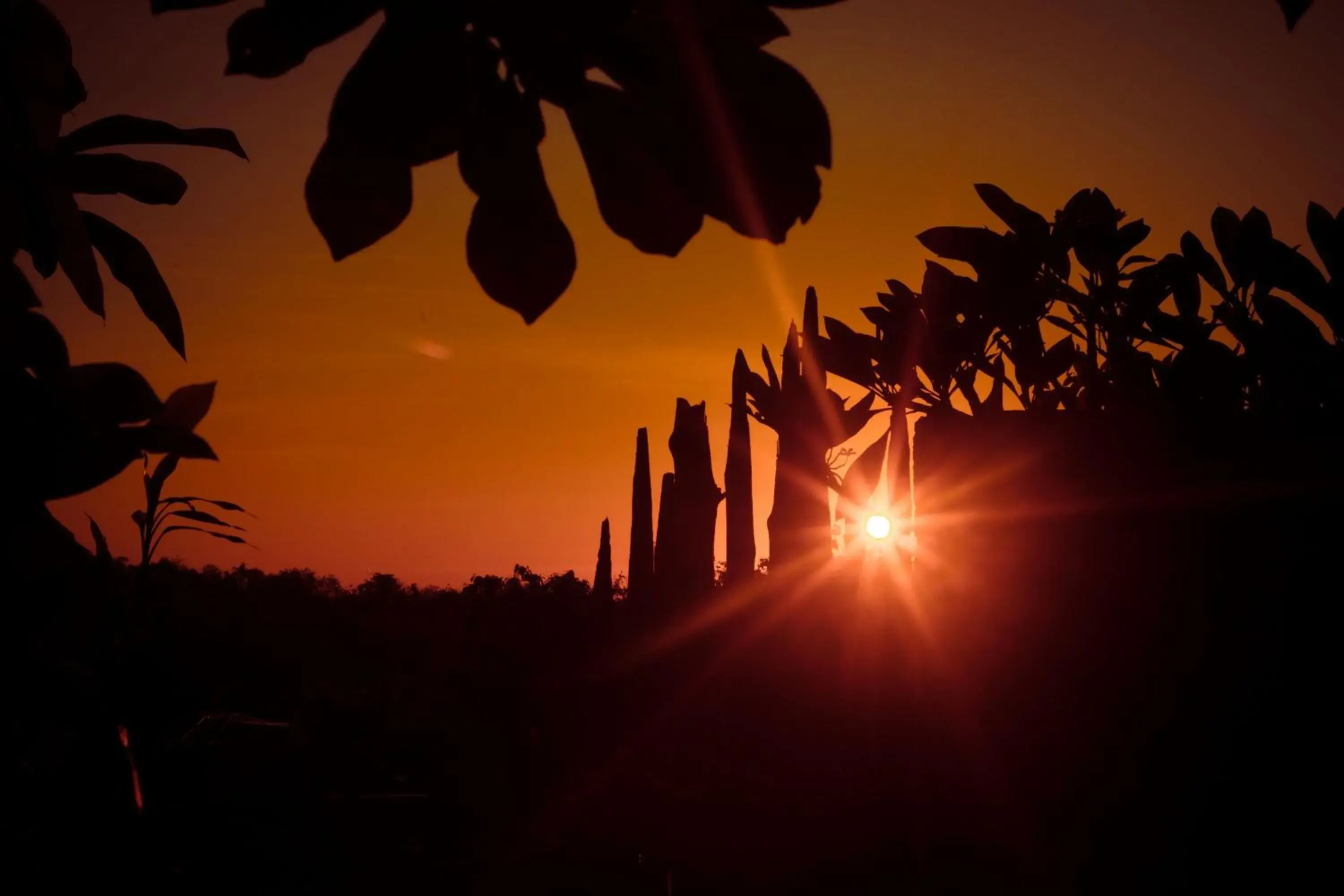 View (from property/room) in Bhavana Cottage View (from property/room) in Bhavana Cottage