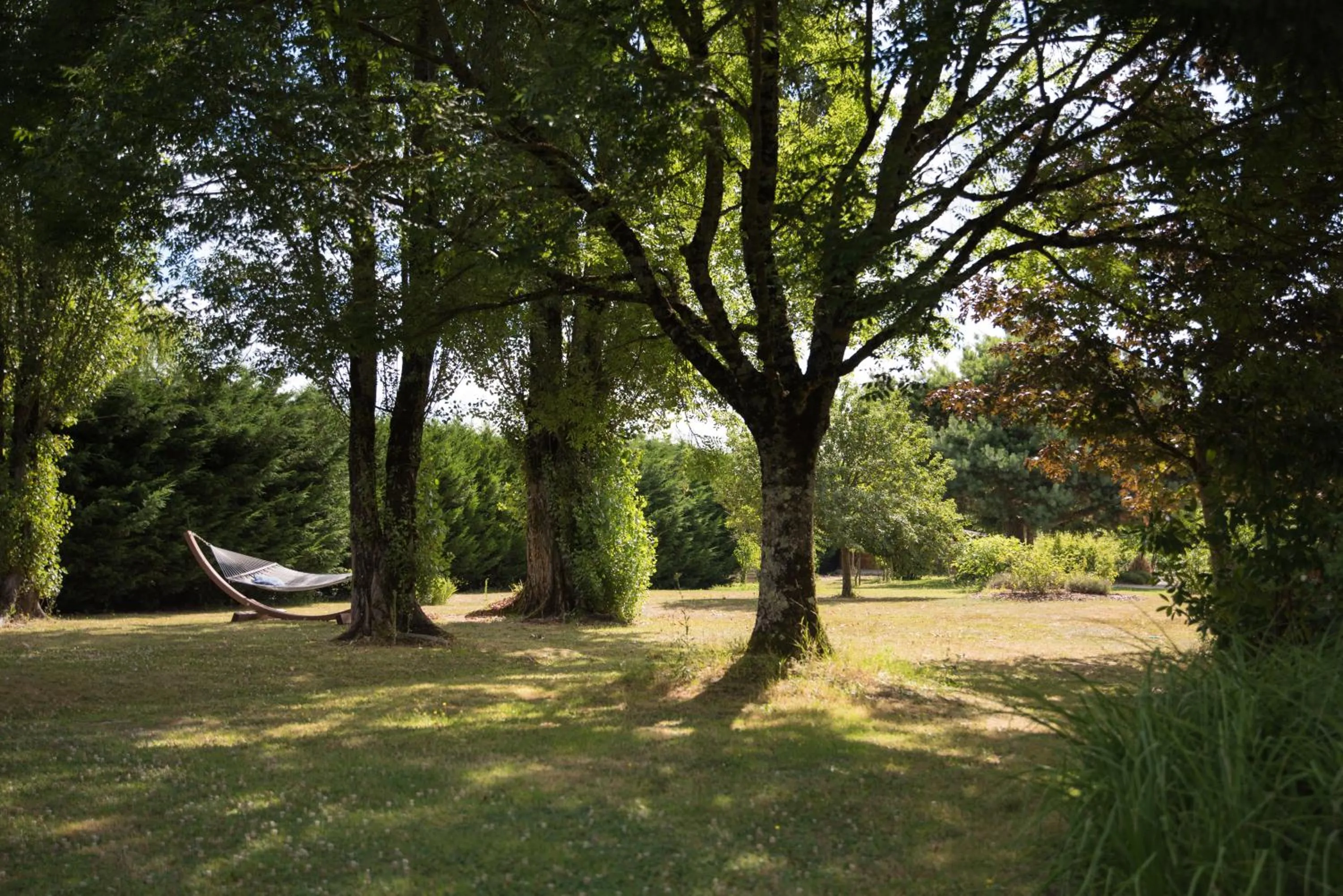 Garden in LA DEMALERIE