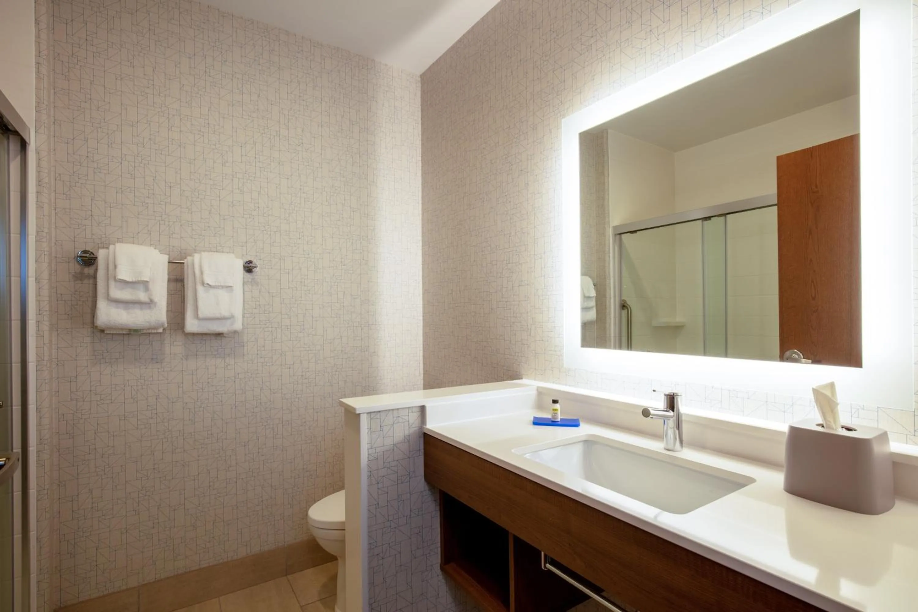 Bathroom in Holiday Inn Express & Suites - Beloit by IHG