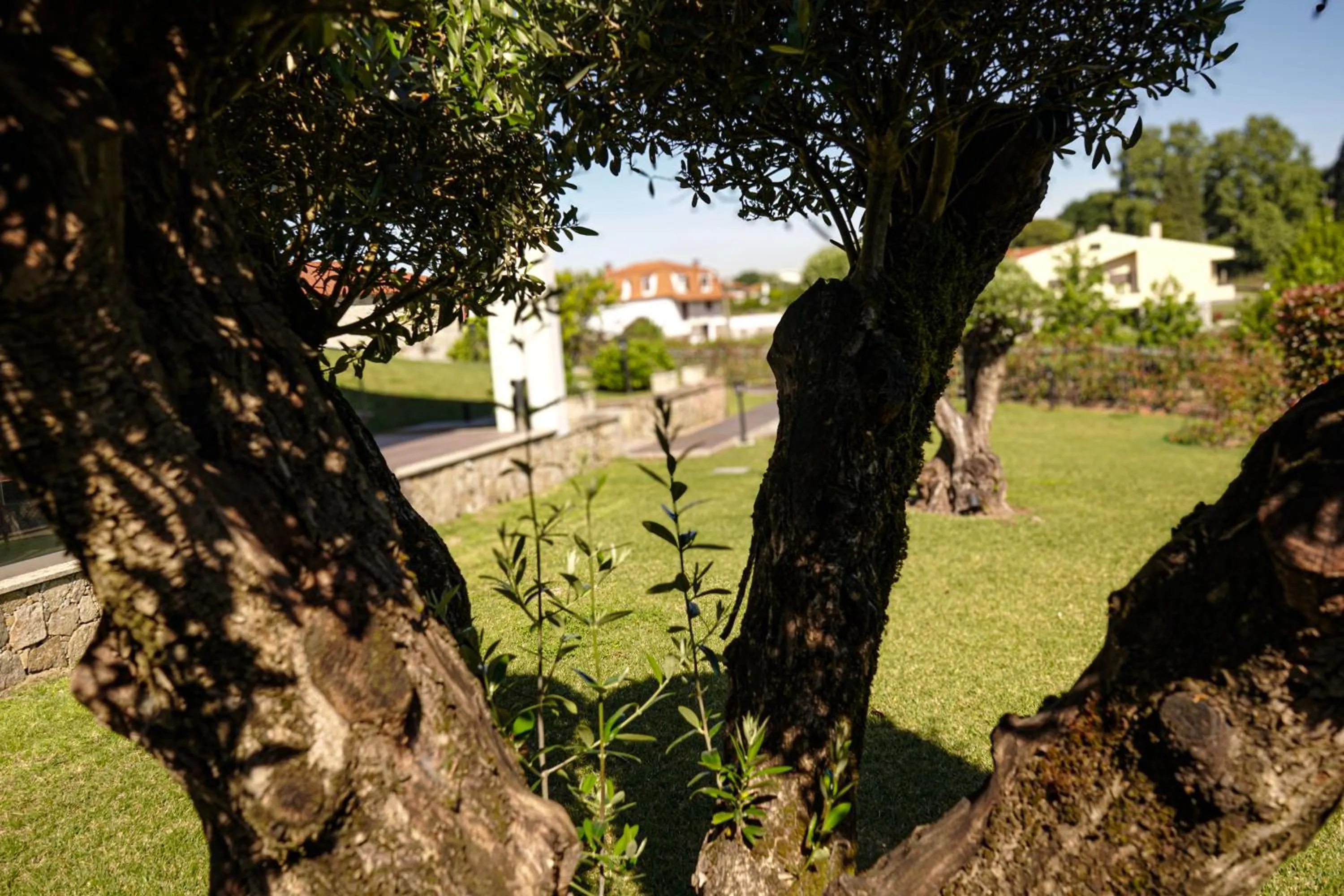 Garden in Casa d'Amares
