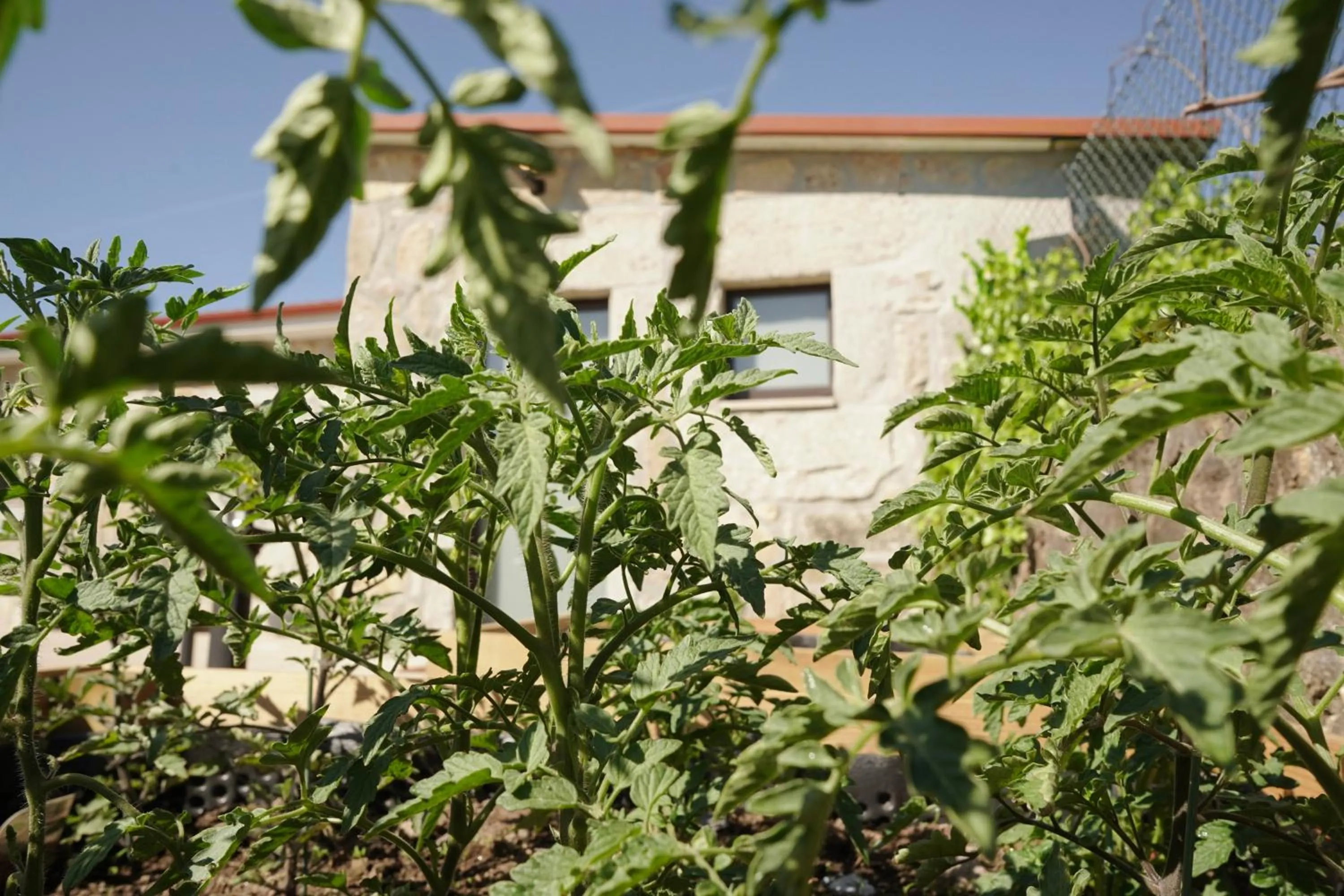 Garden in Casa d'Amares