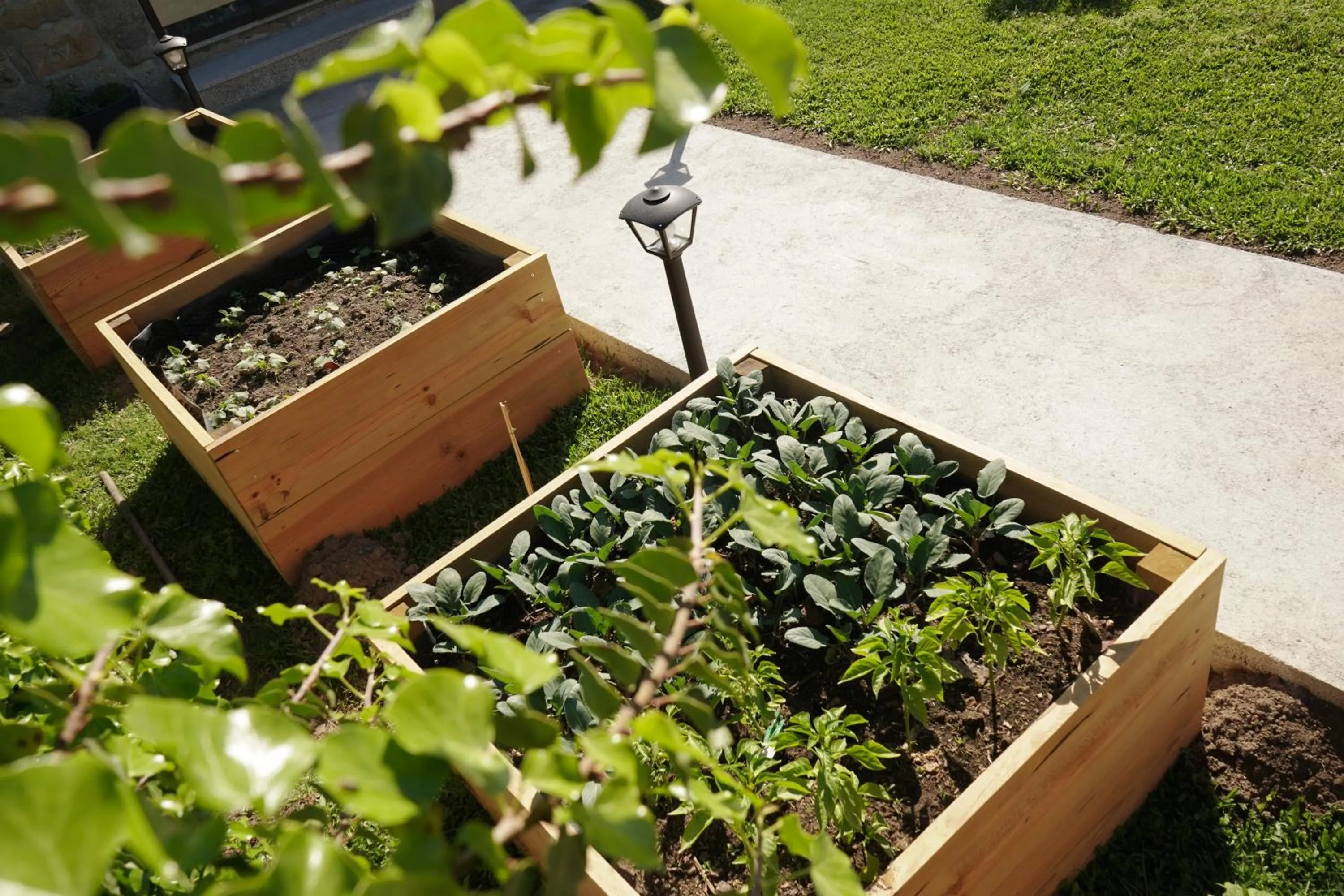 Garden in Casa d'Amares