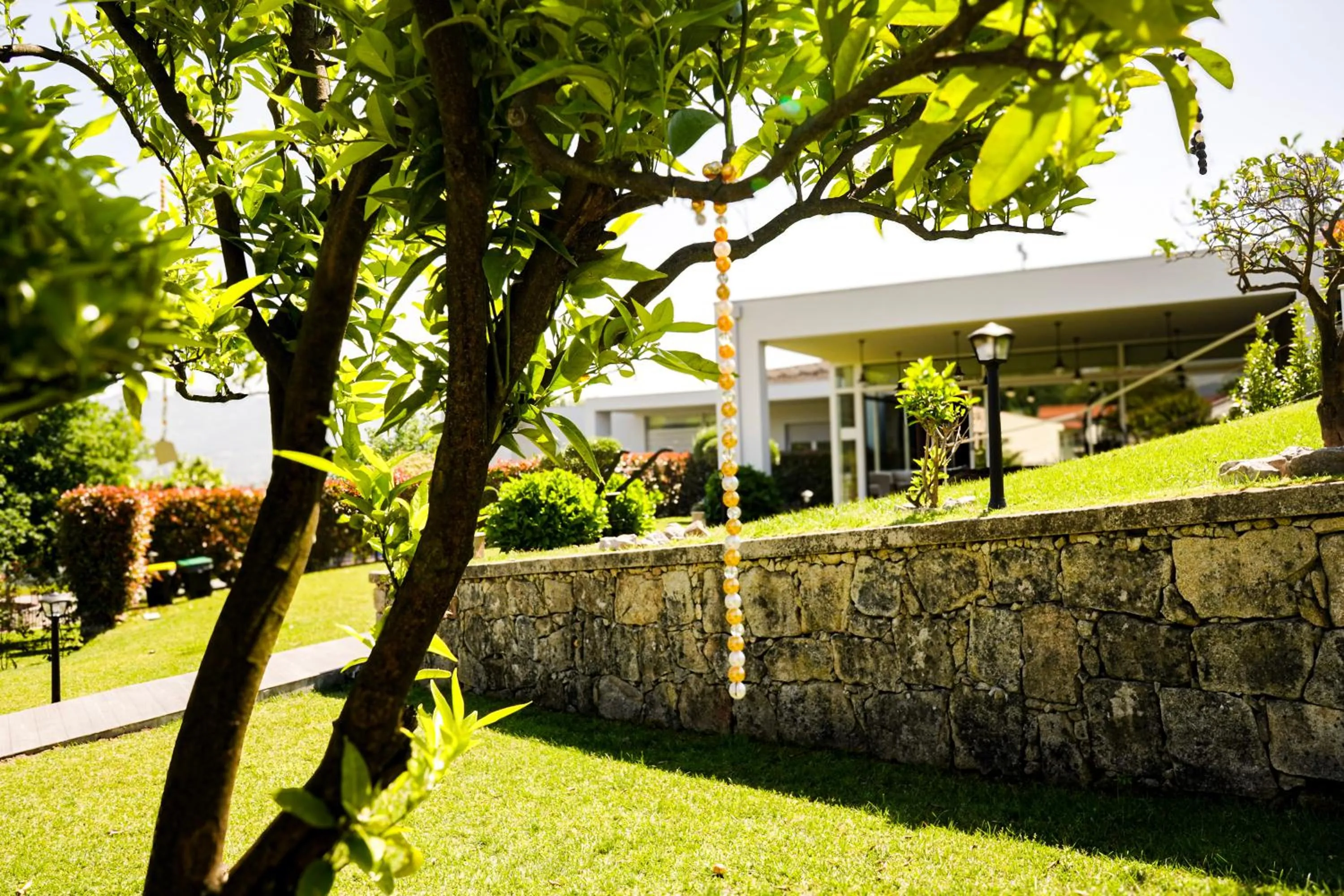 Garden in Casa d'Amares