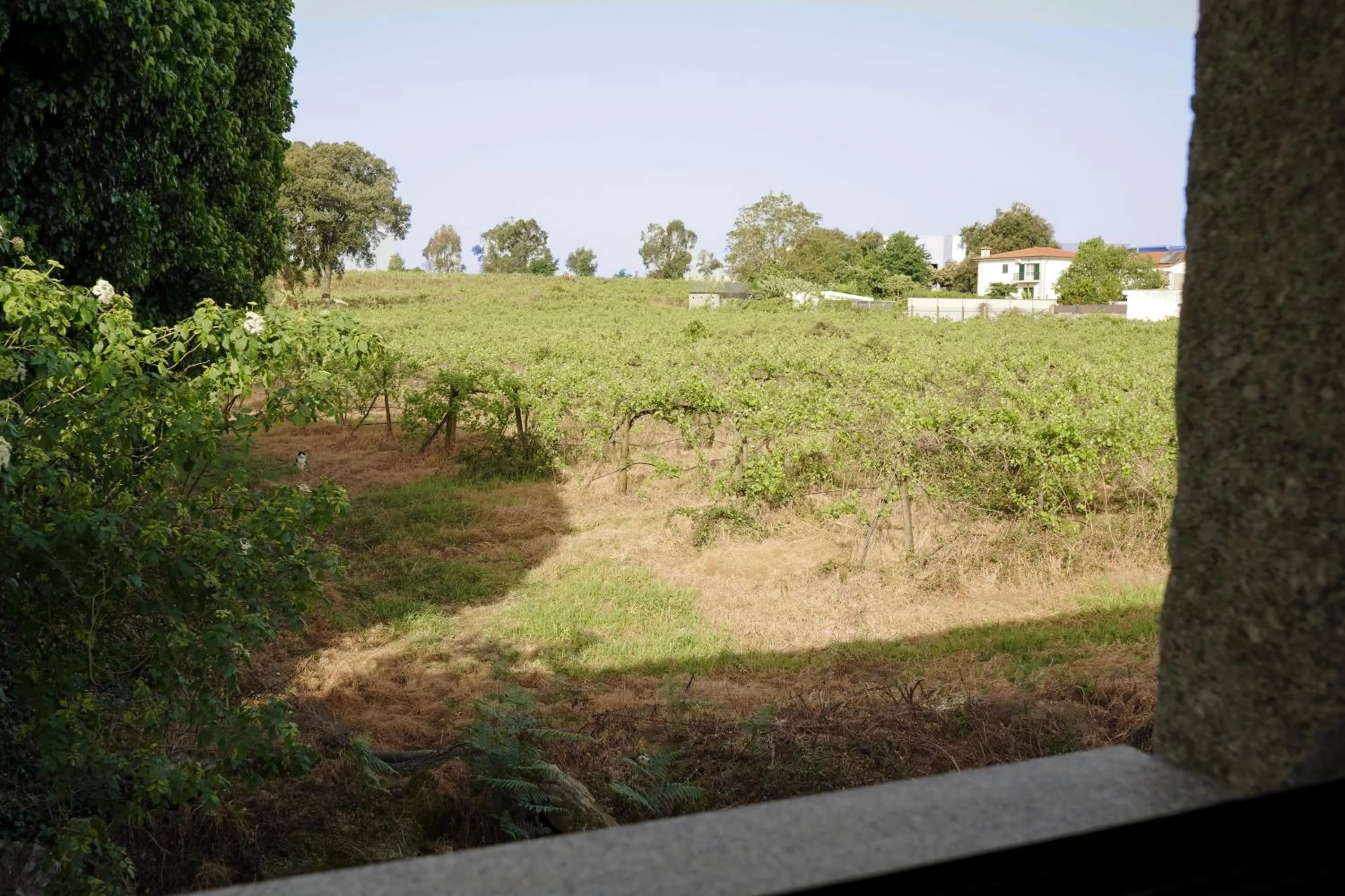 View (from property/room) in Casa d'Amares