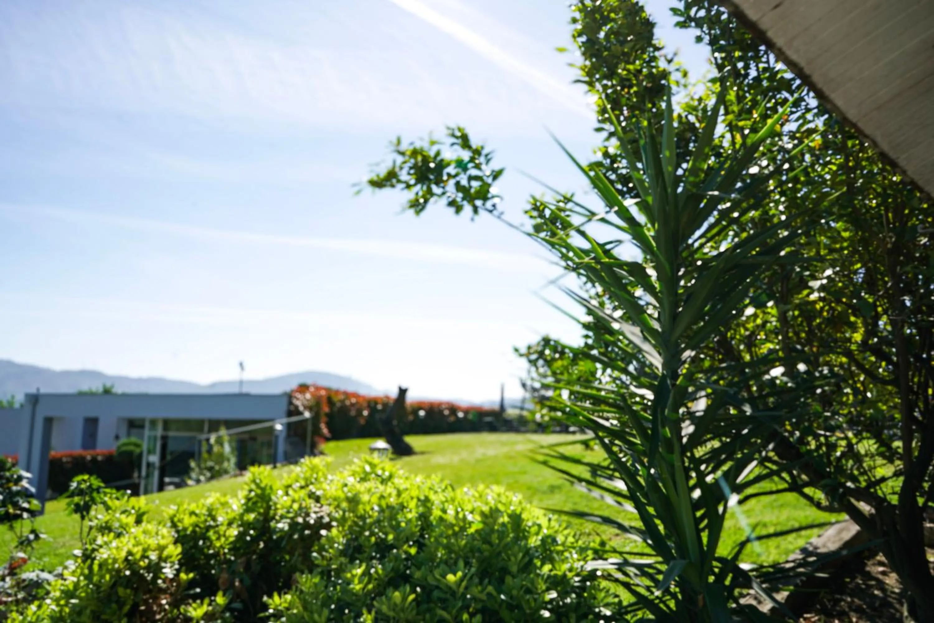 Garden in Casa d'Amares
