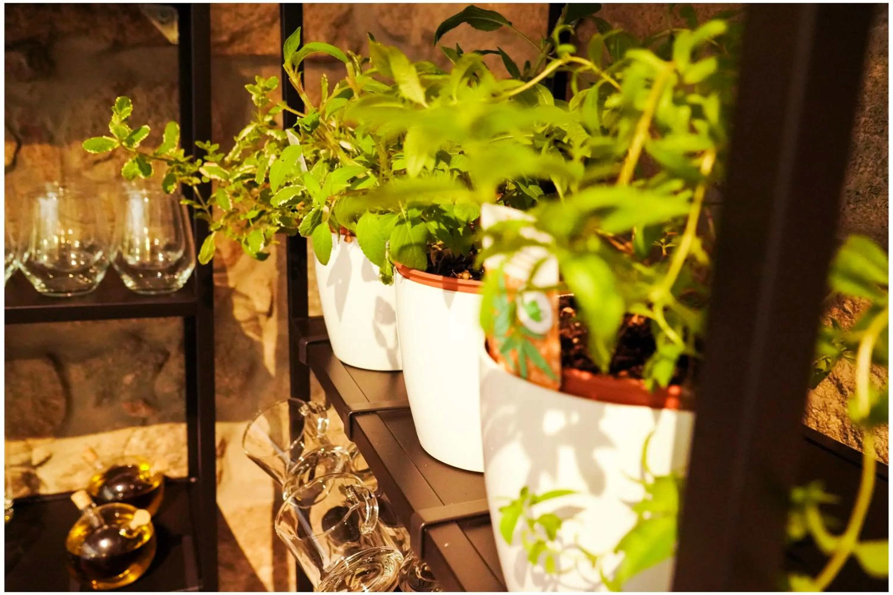 Coffee/tea facilities in Casa d'Amares