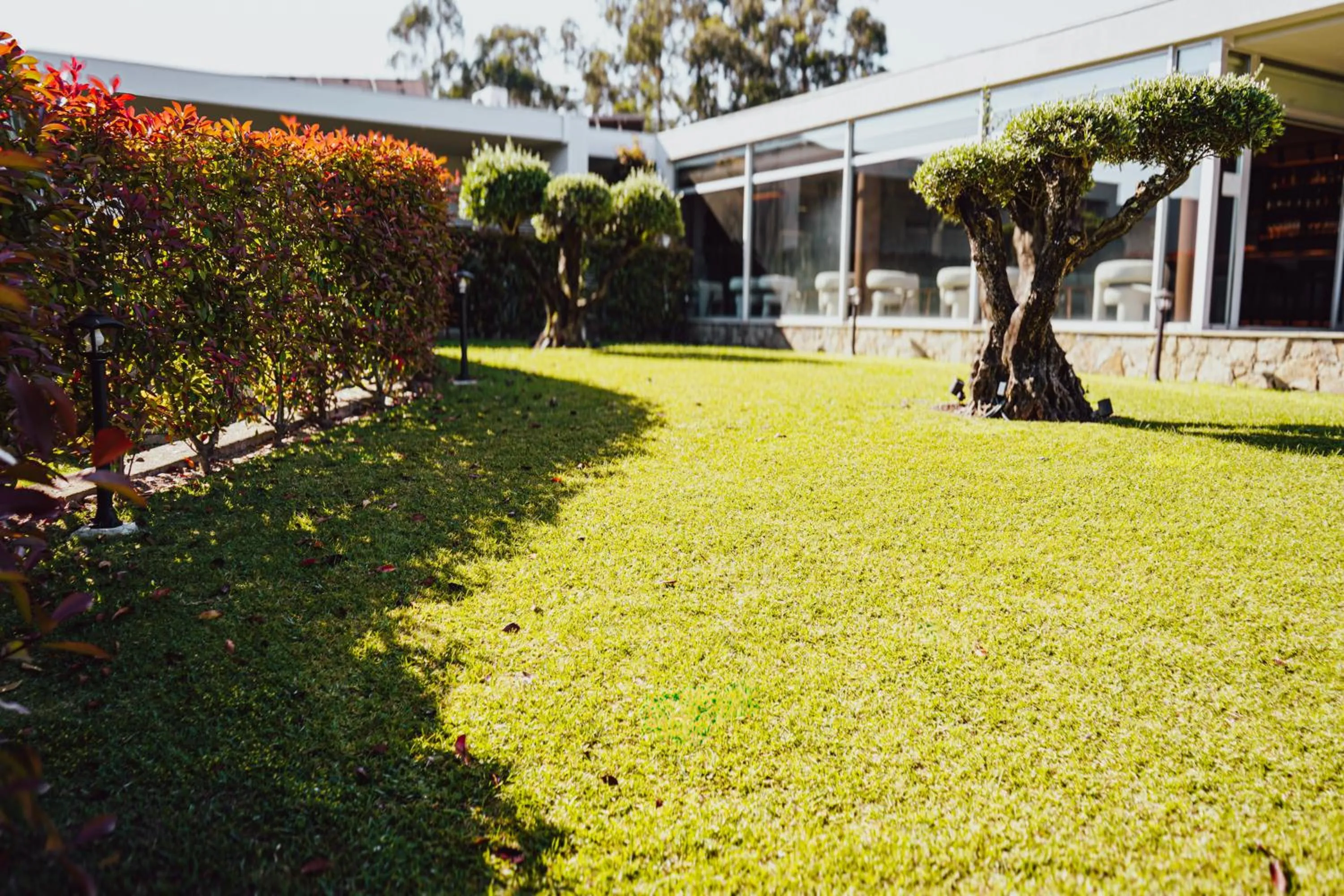 Garden in Casa d'Amares