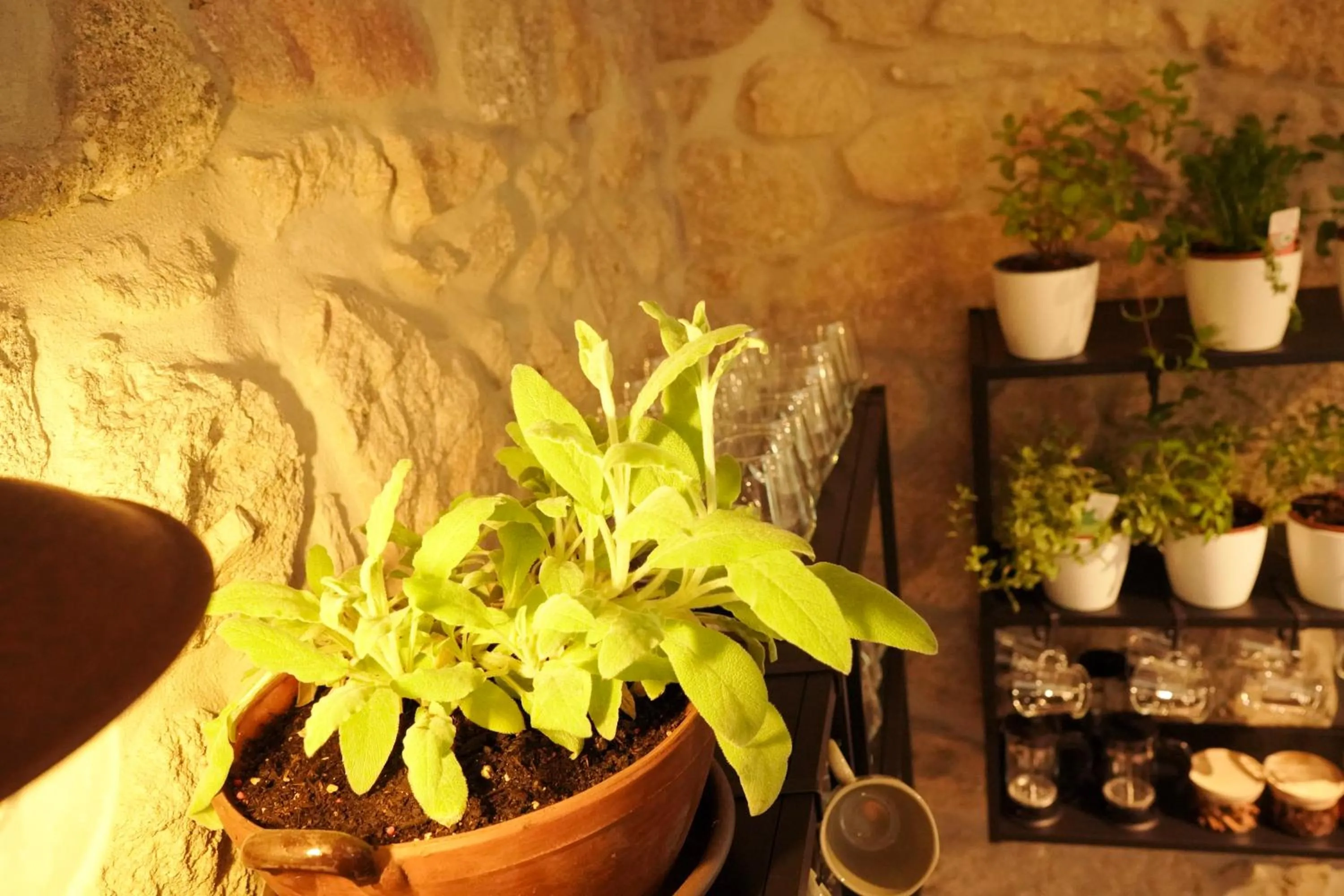 Coffee/tea facilities in Casa d'Amares