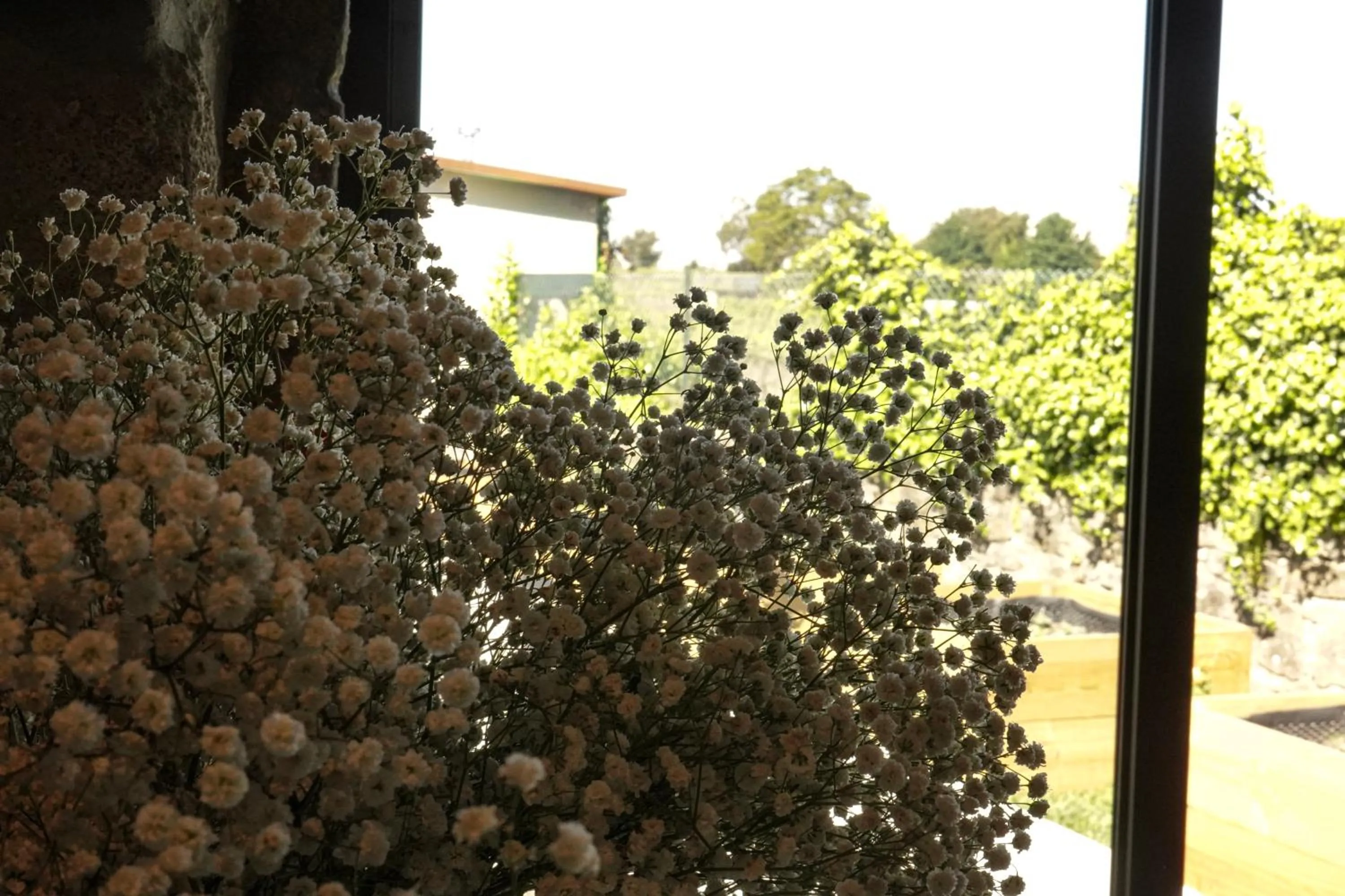 Garden view in Casa d'Amares