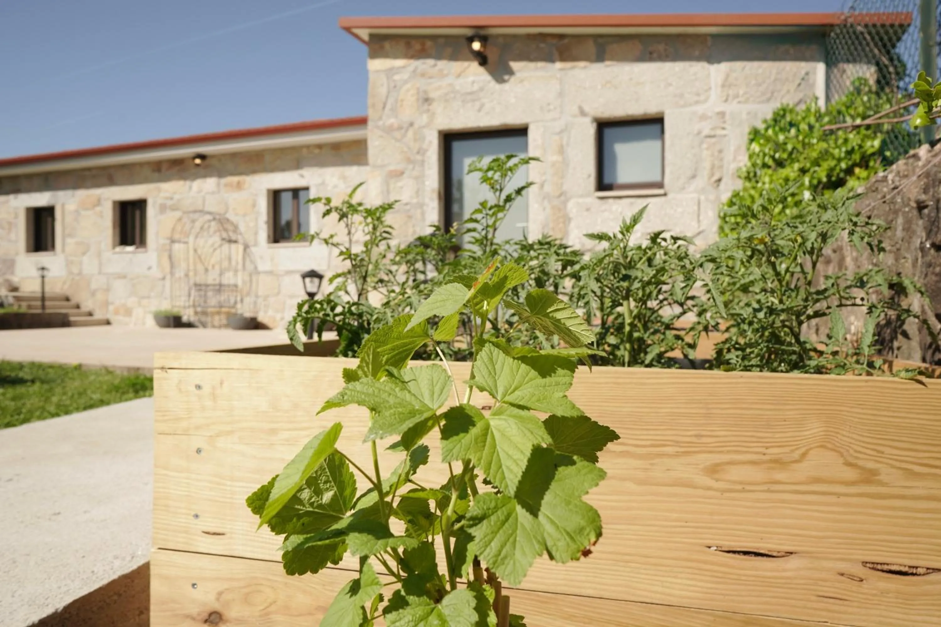 Garden in Casa d'Amares