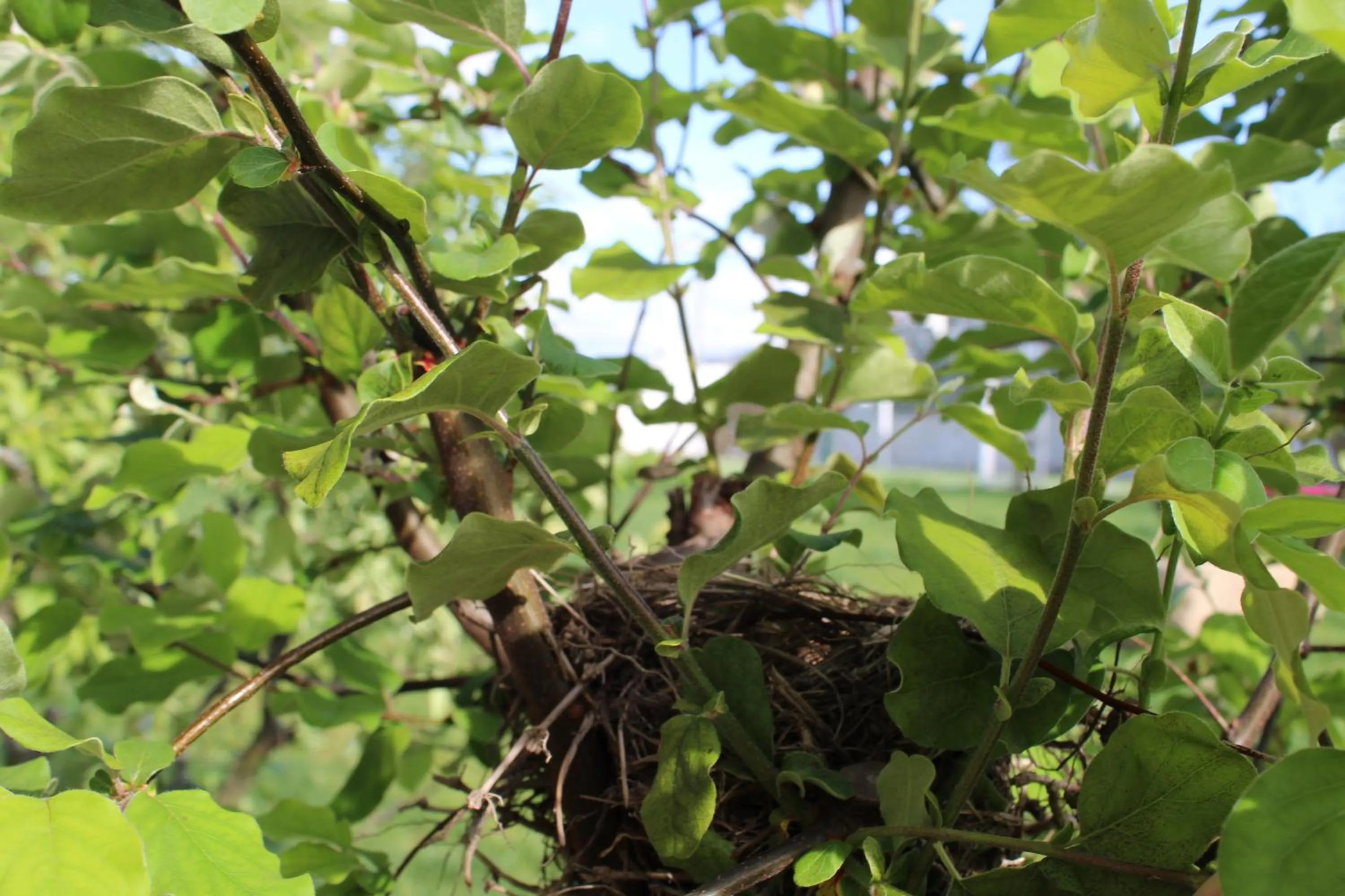 Property building in Casa d'Amares