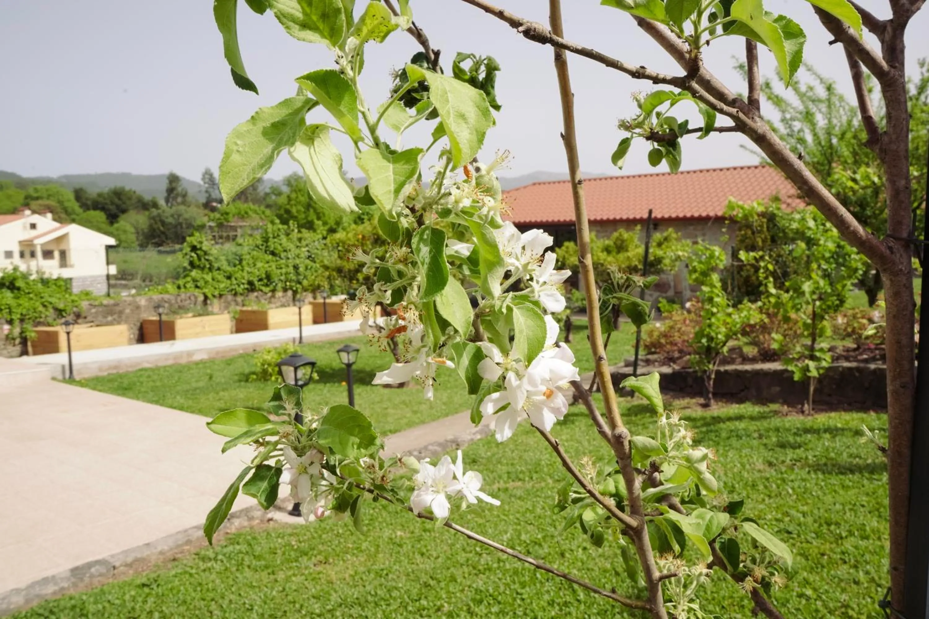 Spring in Casa d'Amares