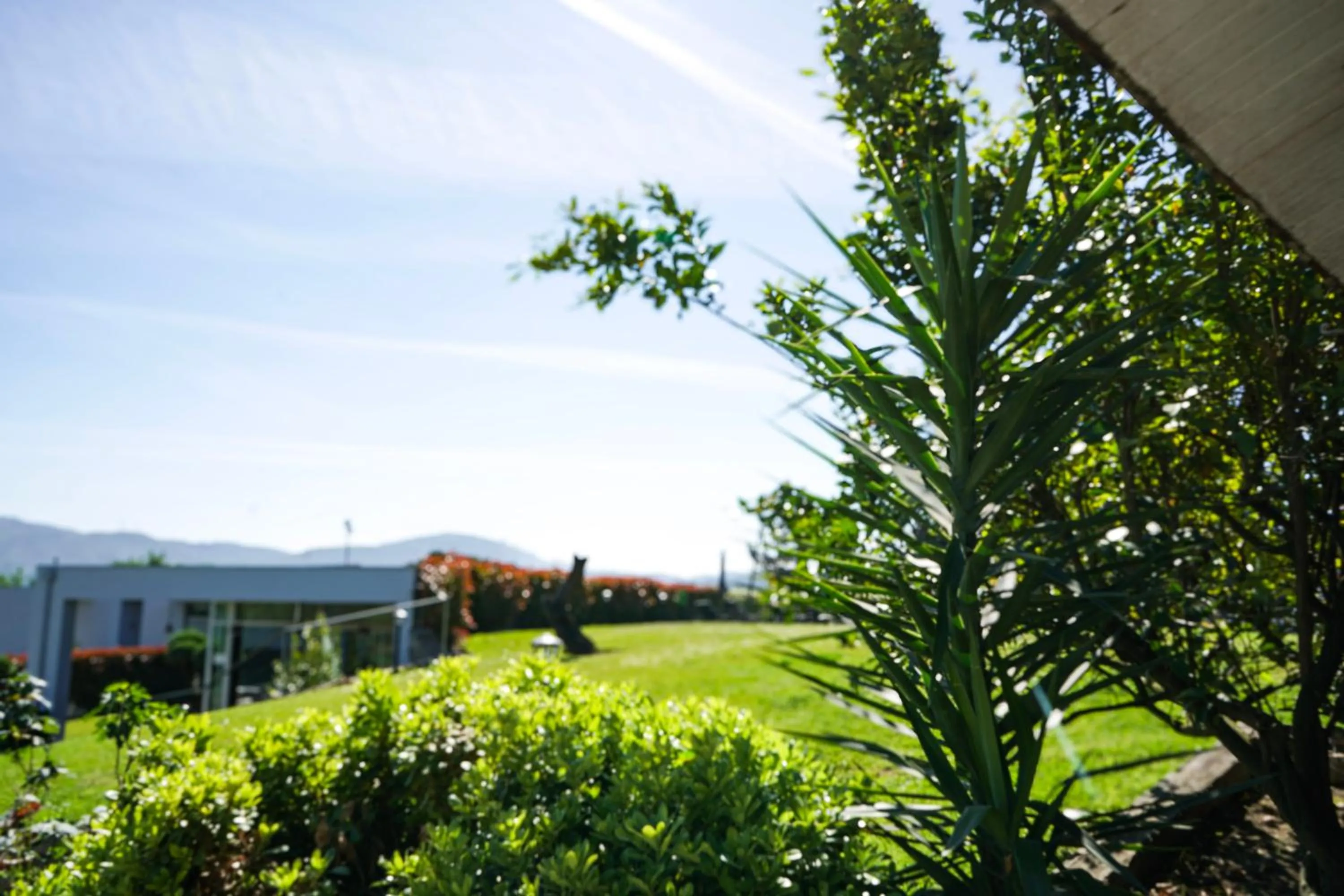 Garden in Casa d'Amares