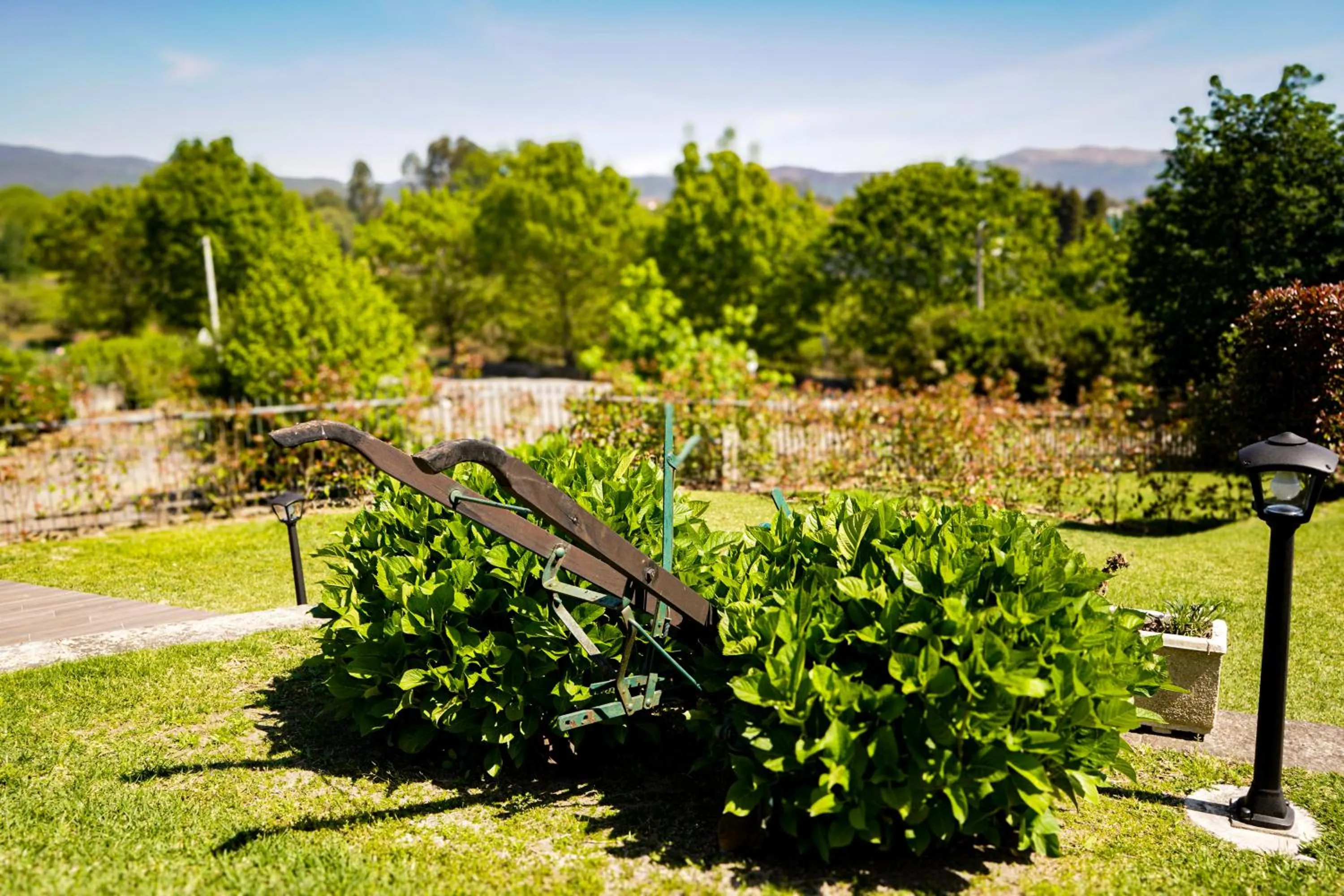 Garden in Casa d'Amares