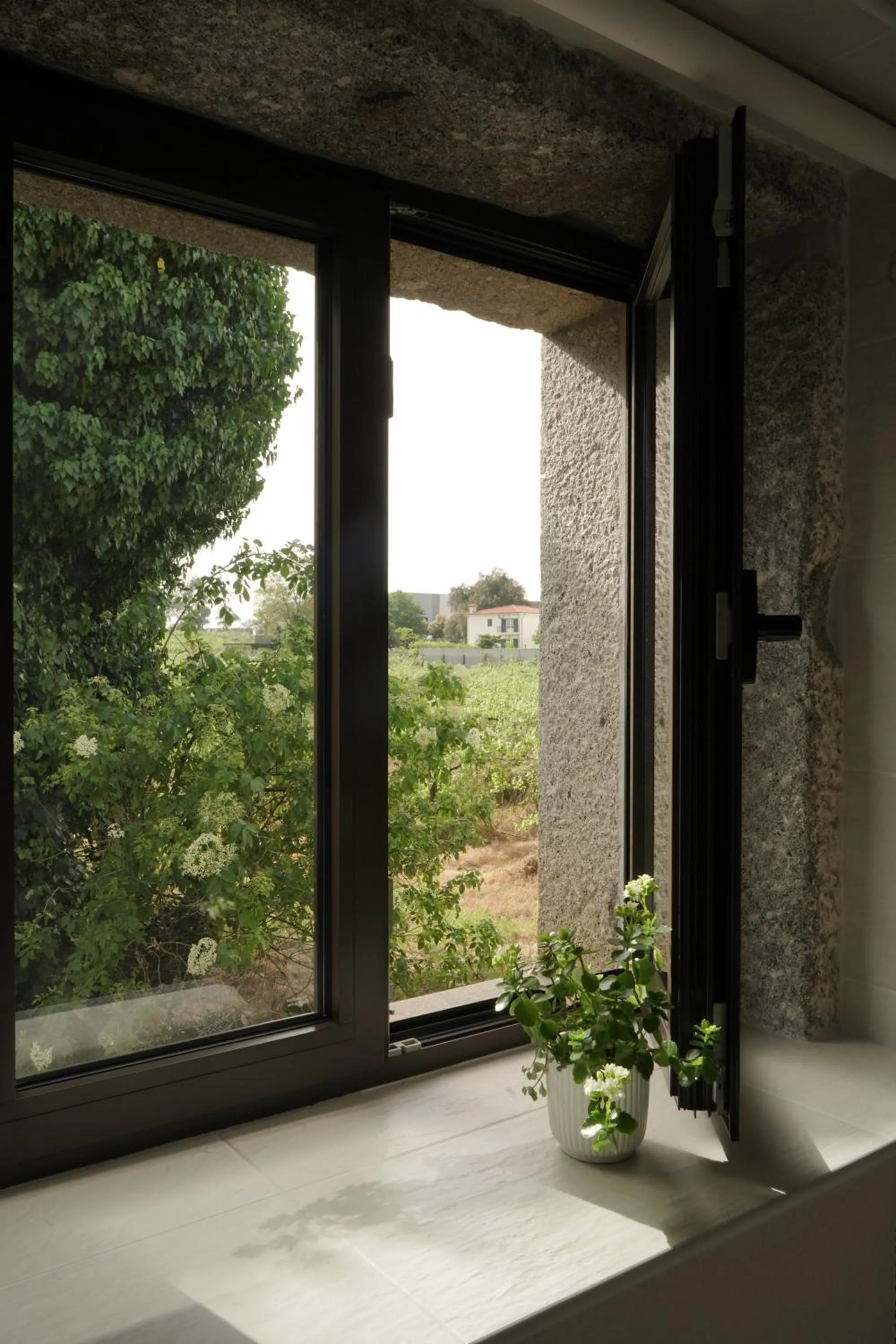 View (from property/room) in Casa d'Amares
