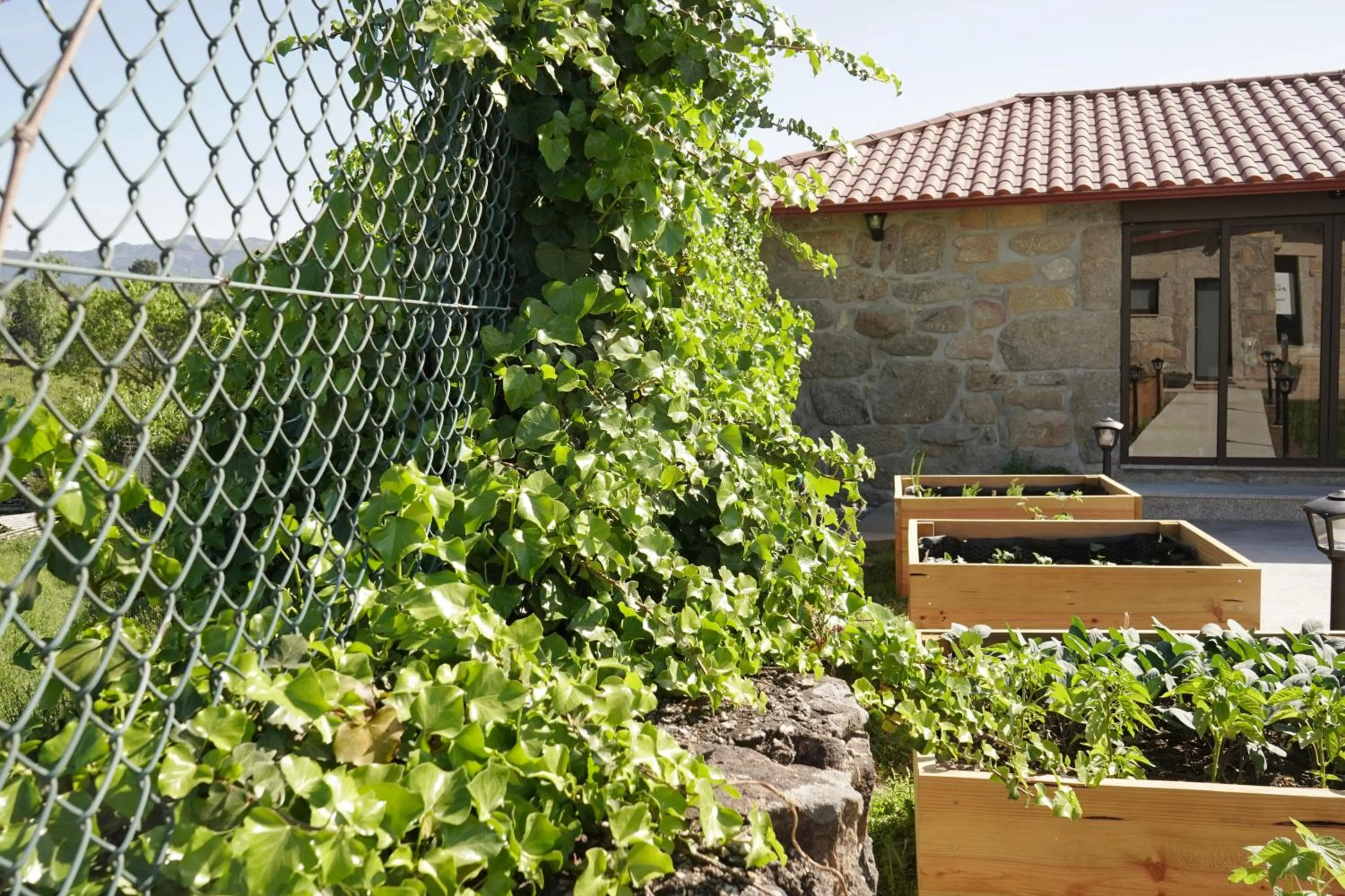 Garden in Casa d'Amares