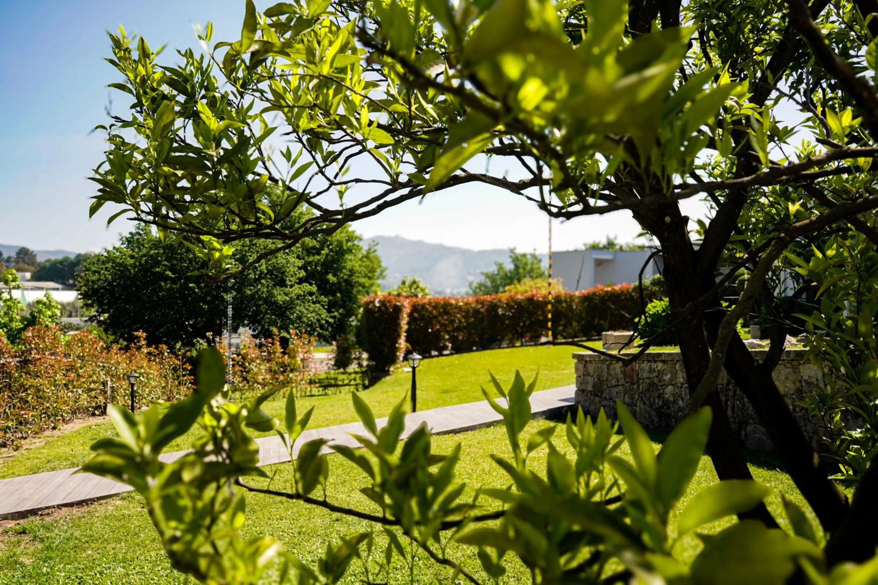 Garden in Casa d'Amares