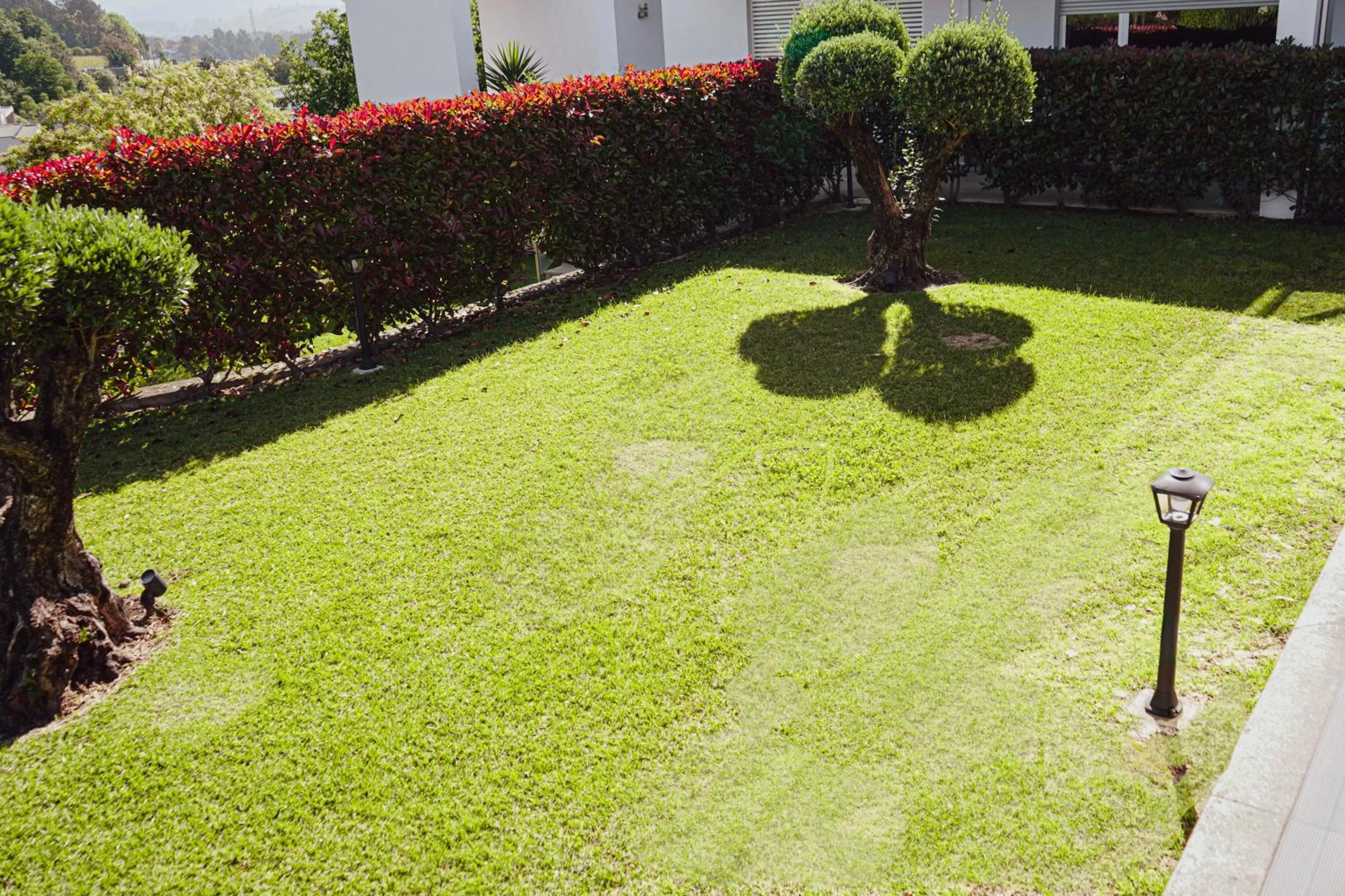 Garden in Casa d'Amares