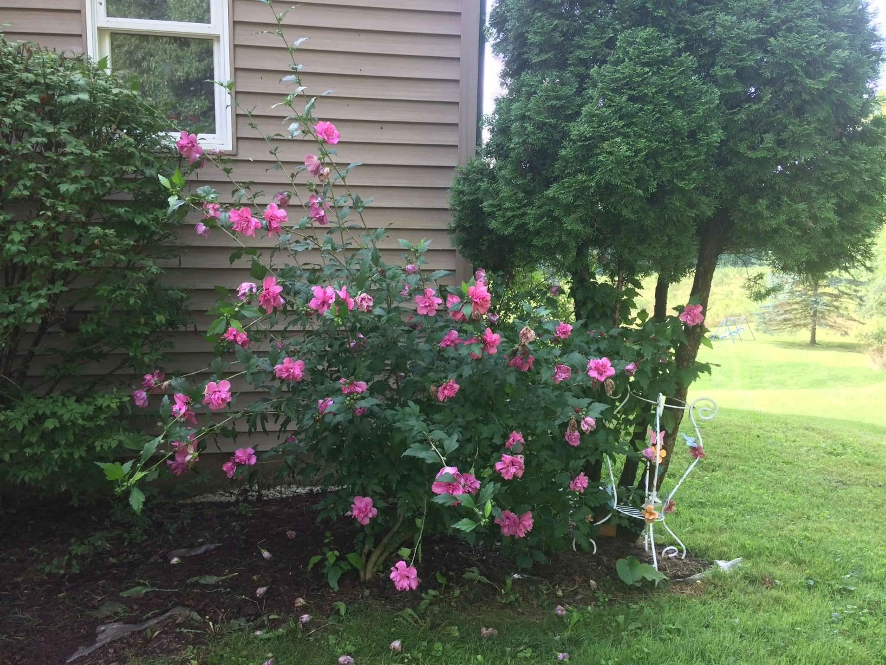 Spruce Hill Inn & Cottages