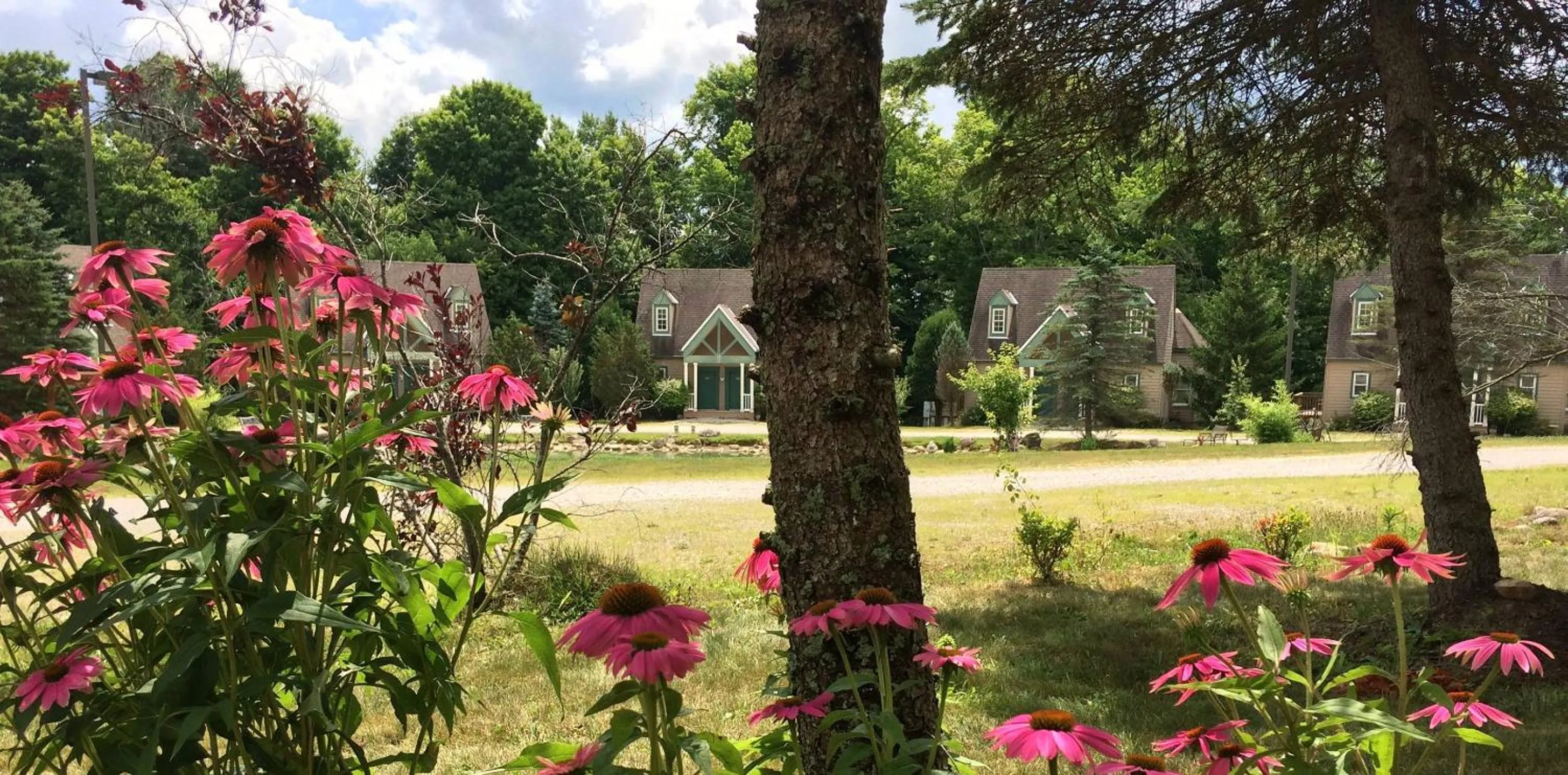 Spruce Hill Inn & Cottages