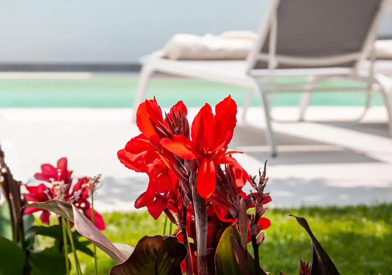 Property building in Epavli Boutique Hotel Property building in Epavli Boutique Hotel