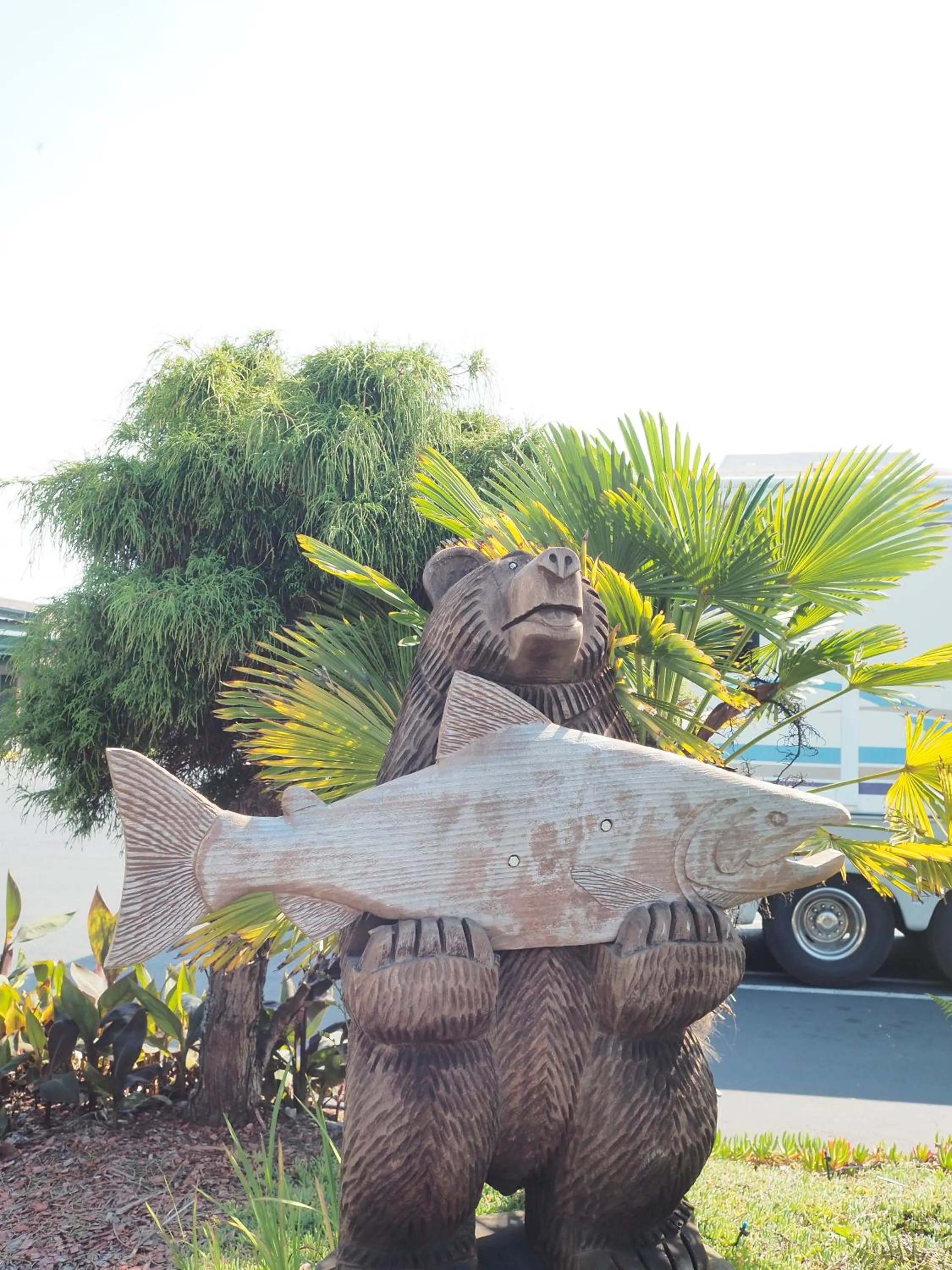 Decorative detail in Wild Rivers Motorlodge