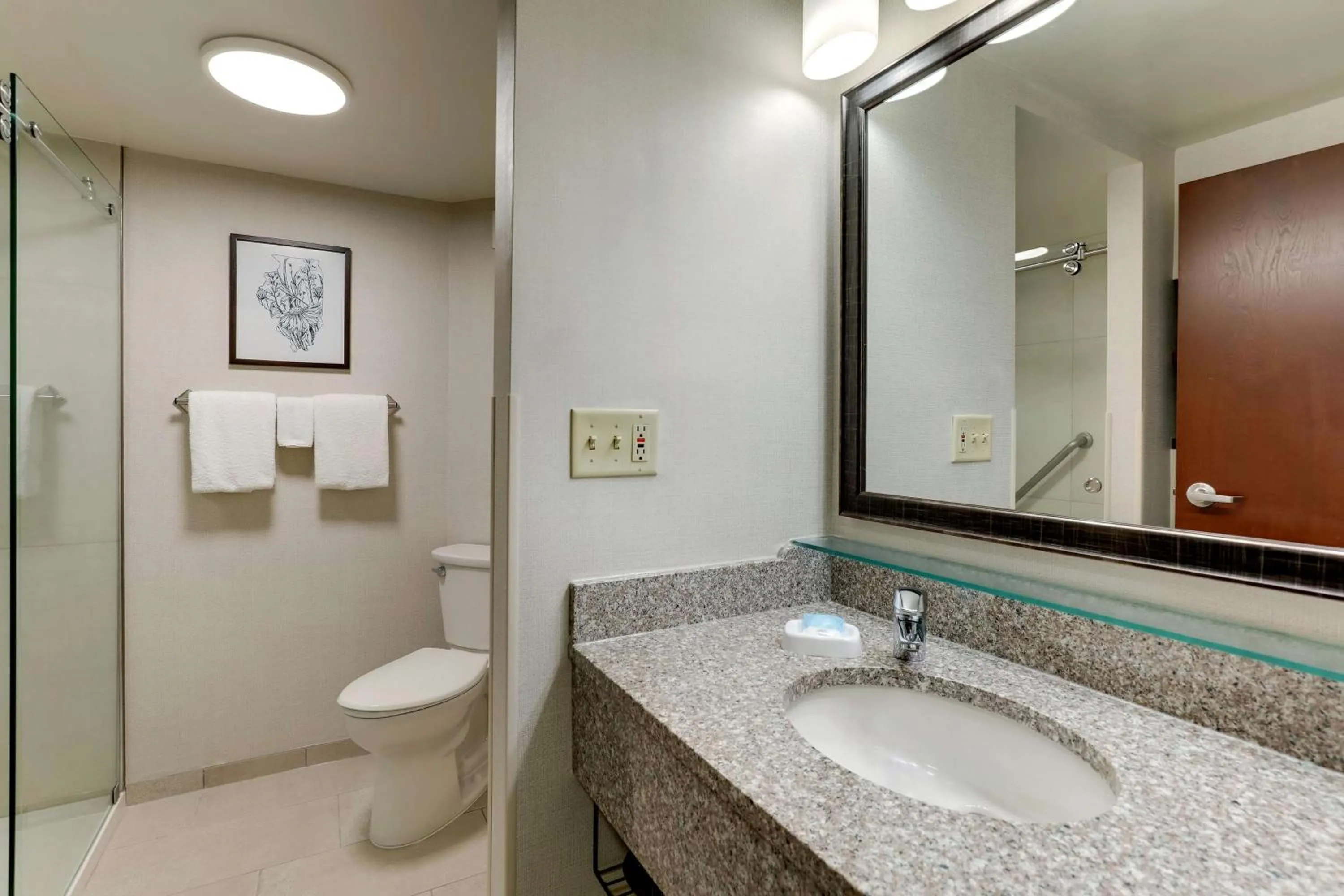 Bathroom in Drury Inn & Suites Marion