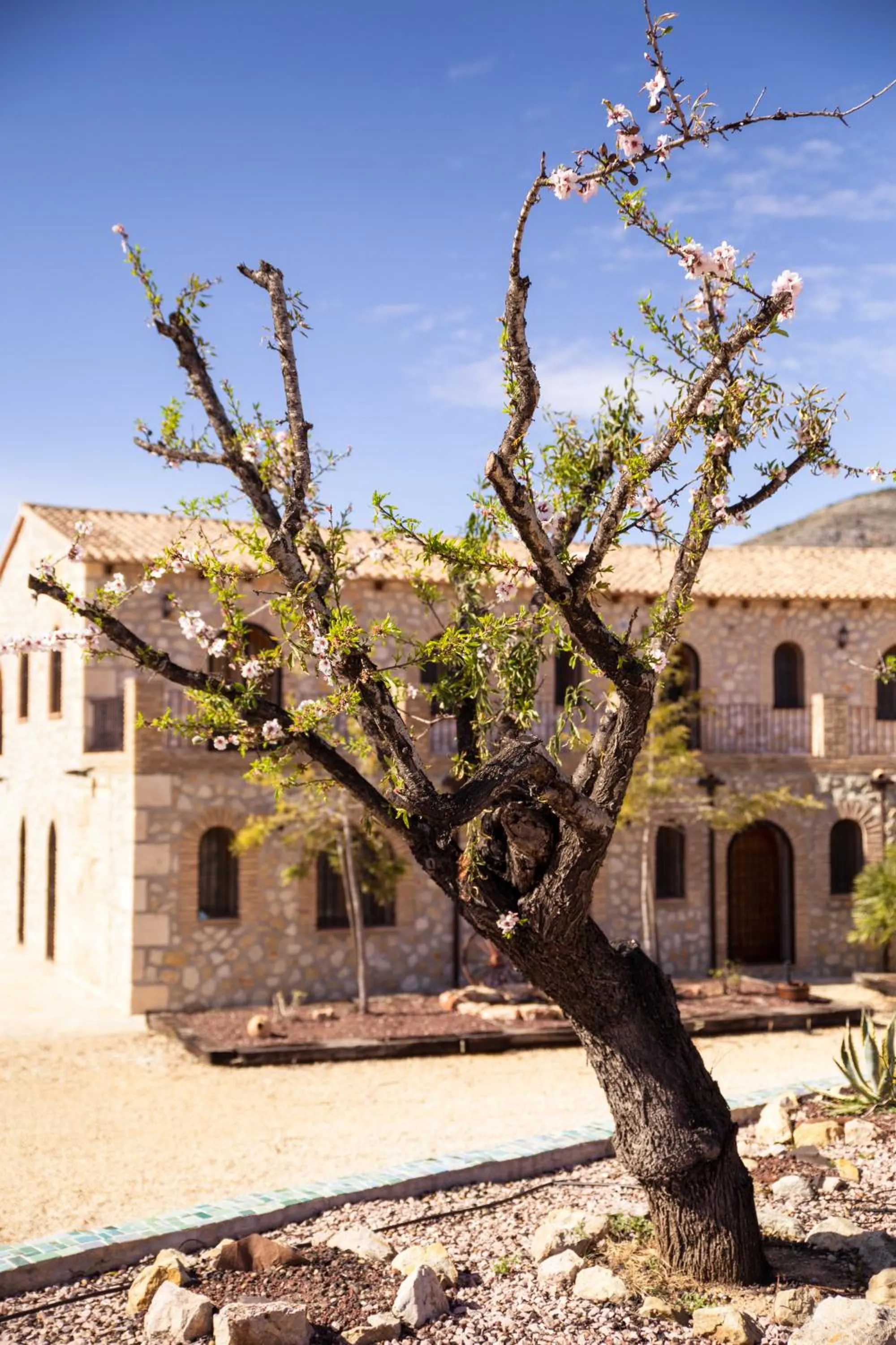 Property building in M A S L A P A U Country Hotel - Adults only