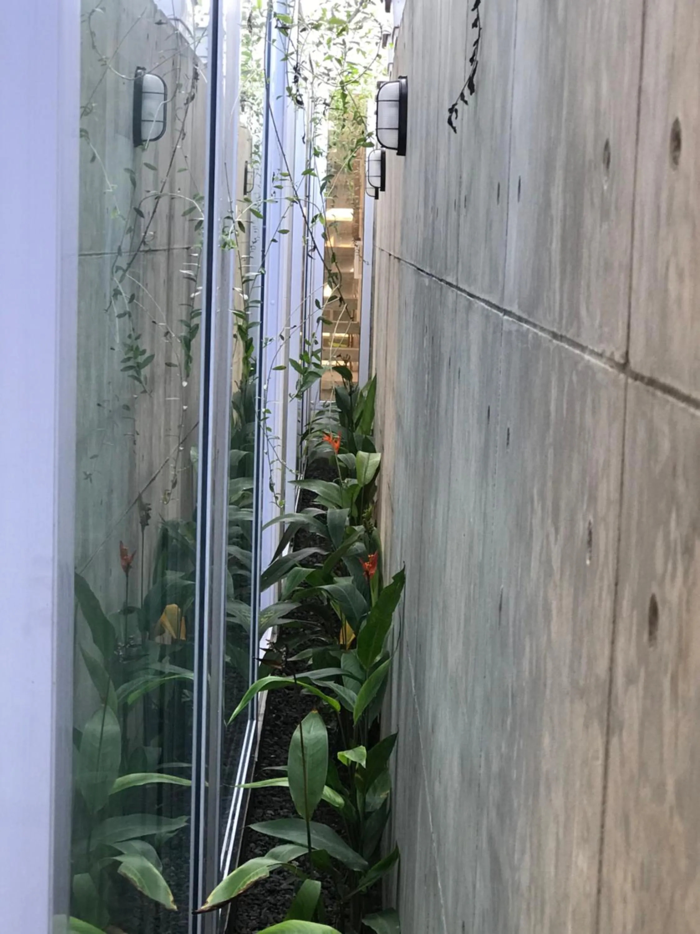 Garden view in RedDoorz near Universitas Islam Indonesia