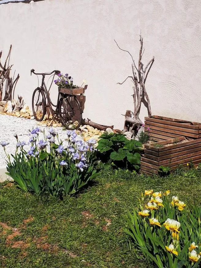 Garden in Les Coronilles