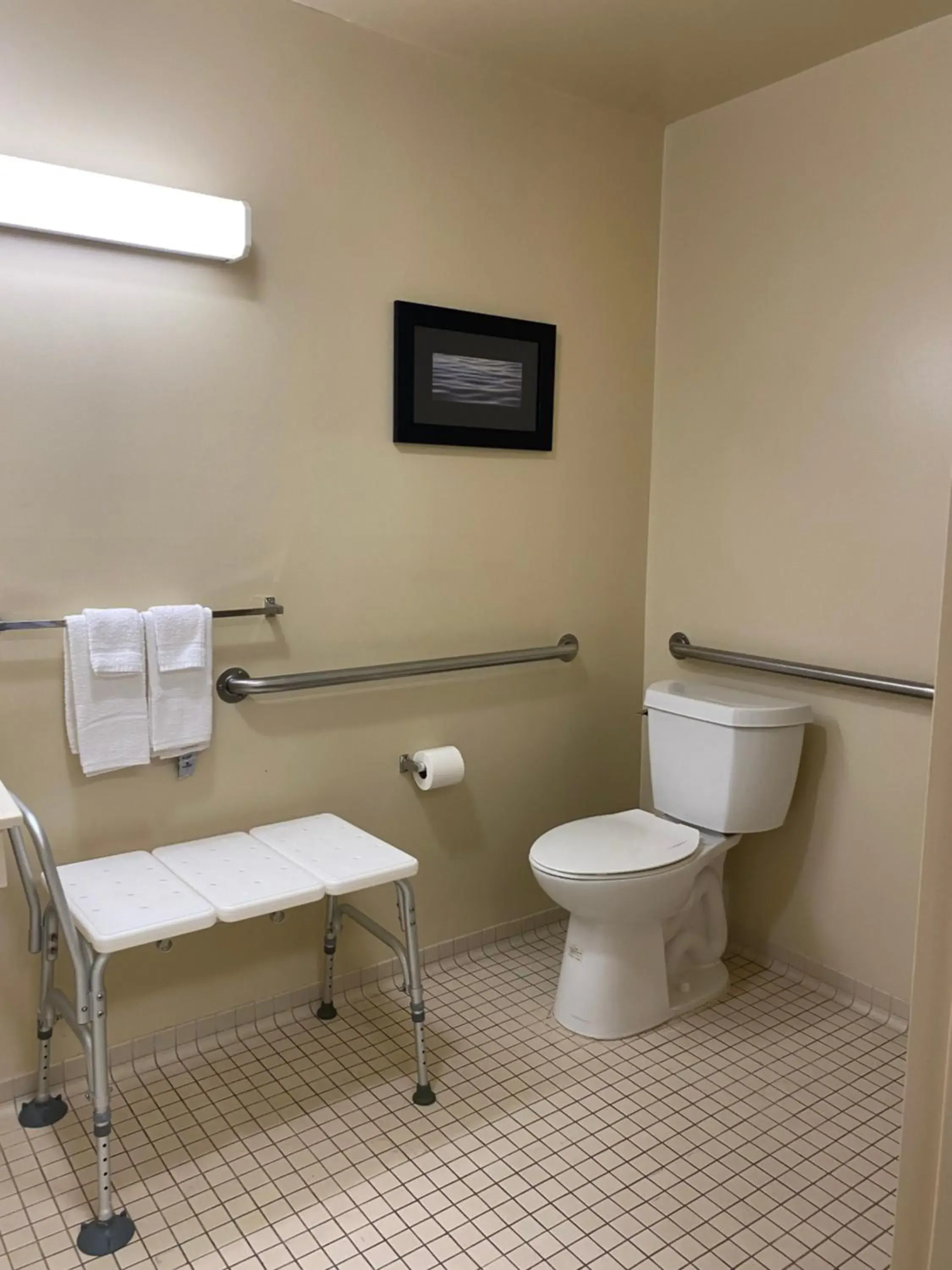 Efficiency Queen Room with Roll-In Shower - Disability Access/Non Smoking/Pet Friendly in Suburban Studios Auburn Hills - Detroit Efficiency Queen Room with Roll-In Shower - Disability Access/Non Smoking/Pet Friendly in Suburban Studios Auburn Hills - Detroit