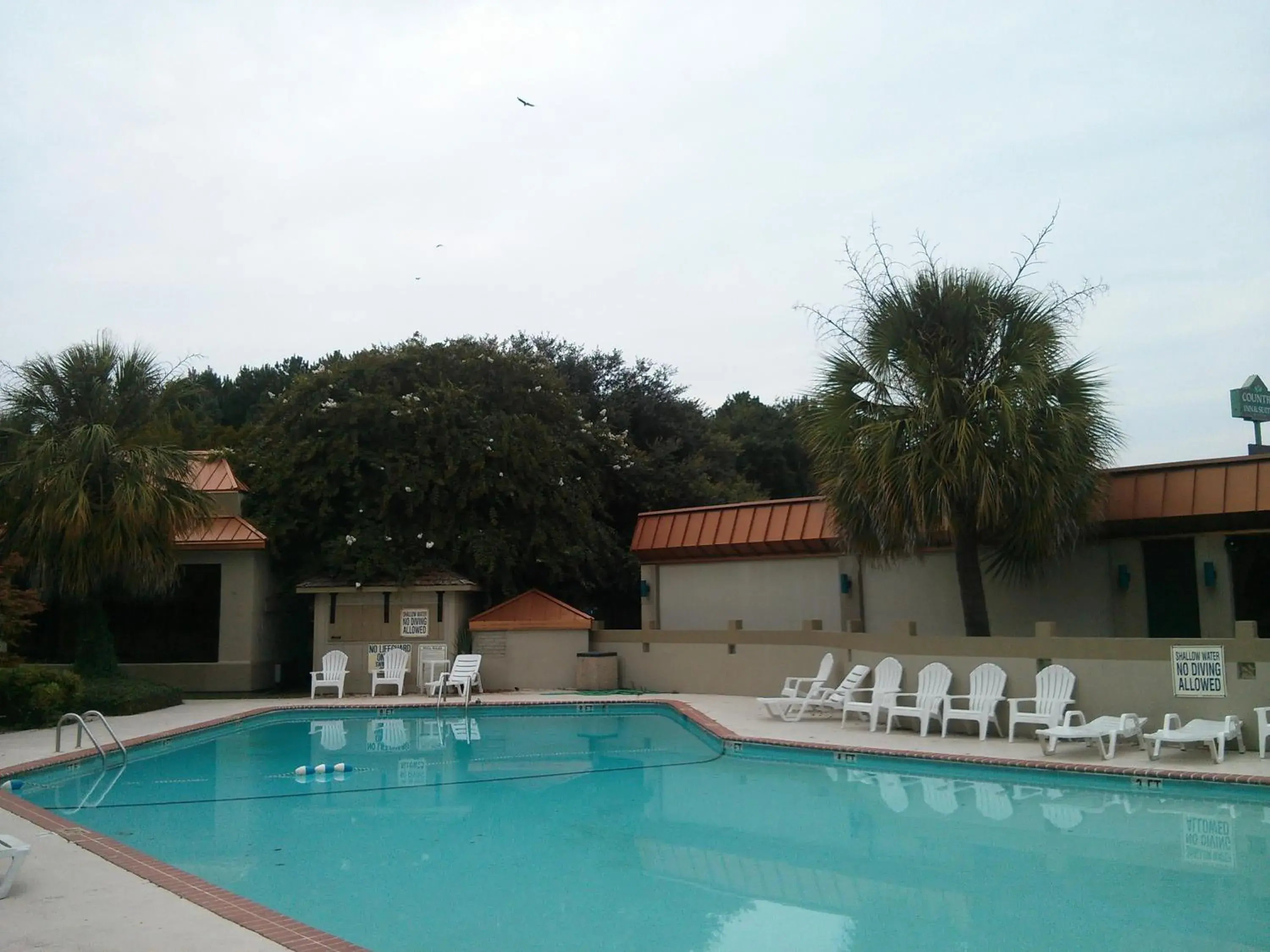 Pool view in Motel 6-Florence, SC Pool view in Motel 6-Florence, SC