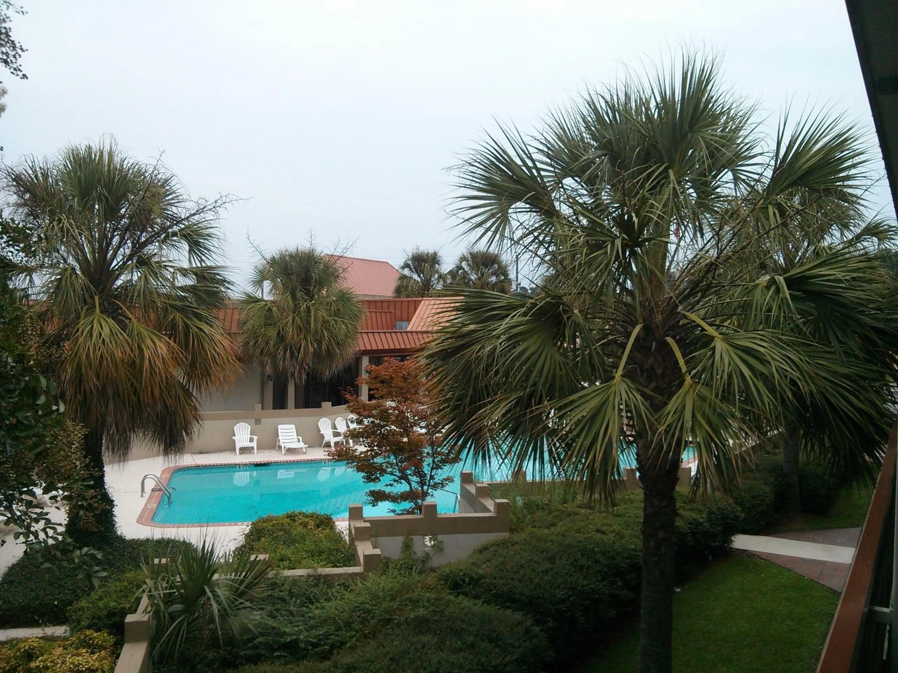 Swimming pool in Motel 6-Florence, SC