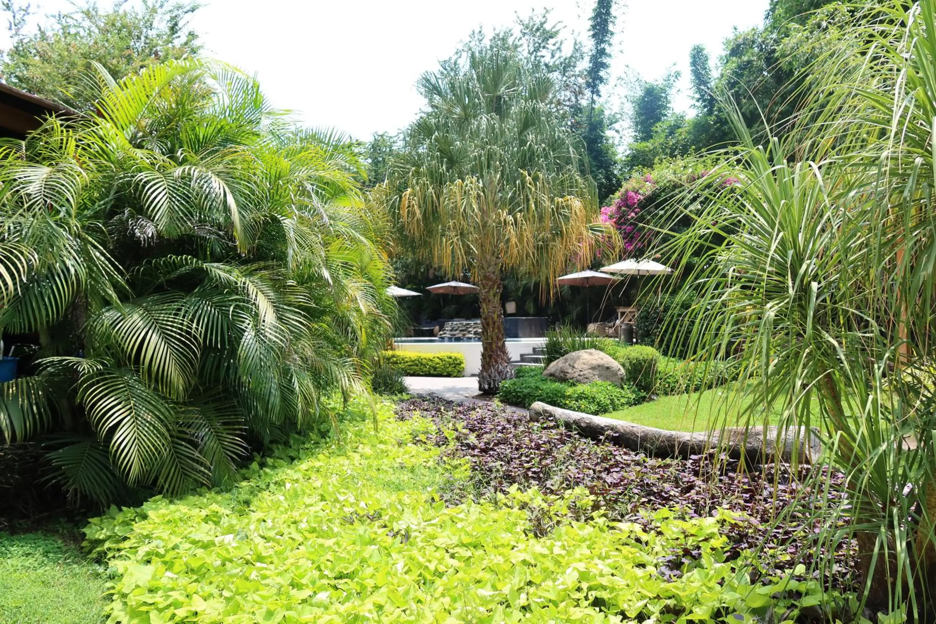 Villa Armonia Hotel & Spa