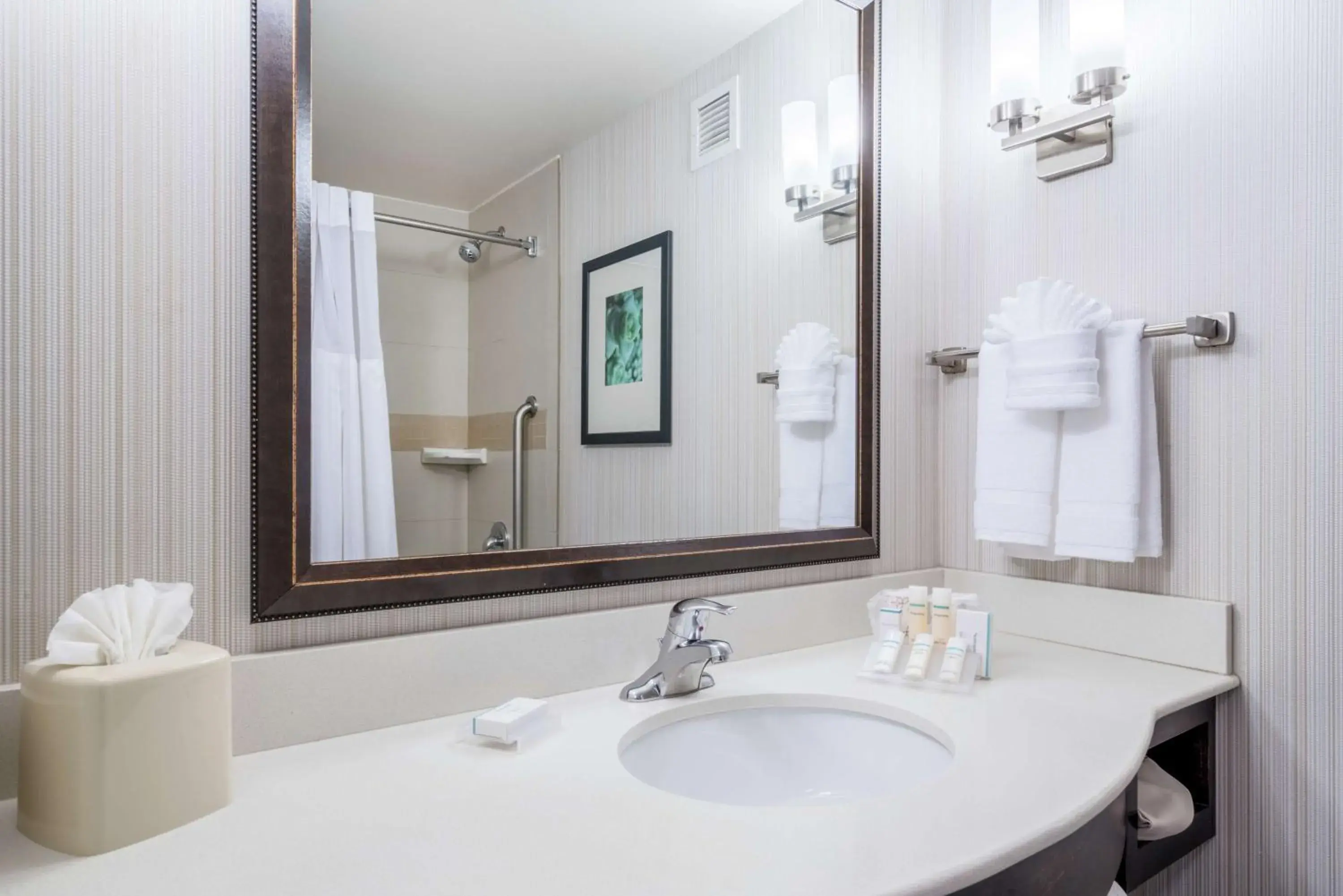 Bathroom in Hilton Garden Inn Valley Forge/Oaks Bathroom in Hilton Garden Inn Valley Forge/Oaks
